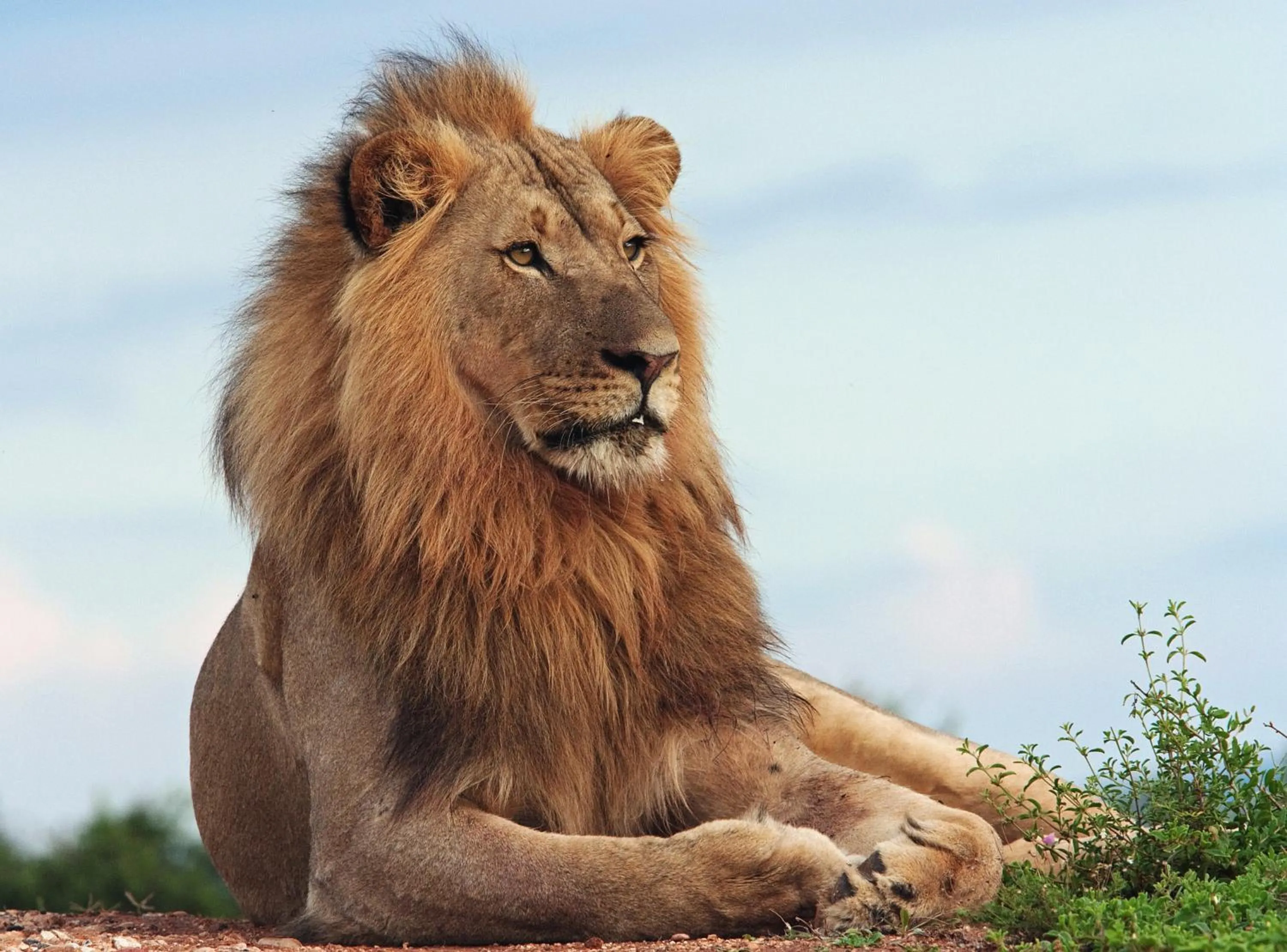 Day in RiverBend Lodge