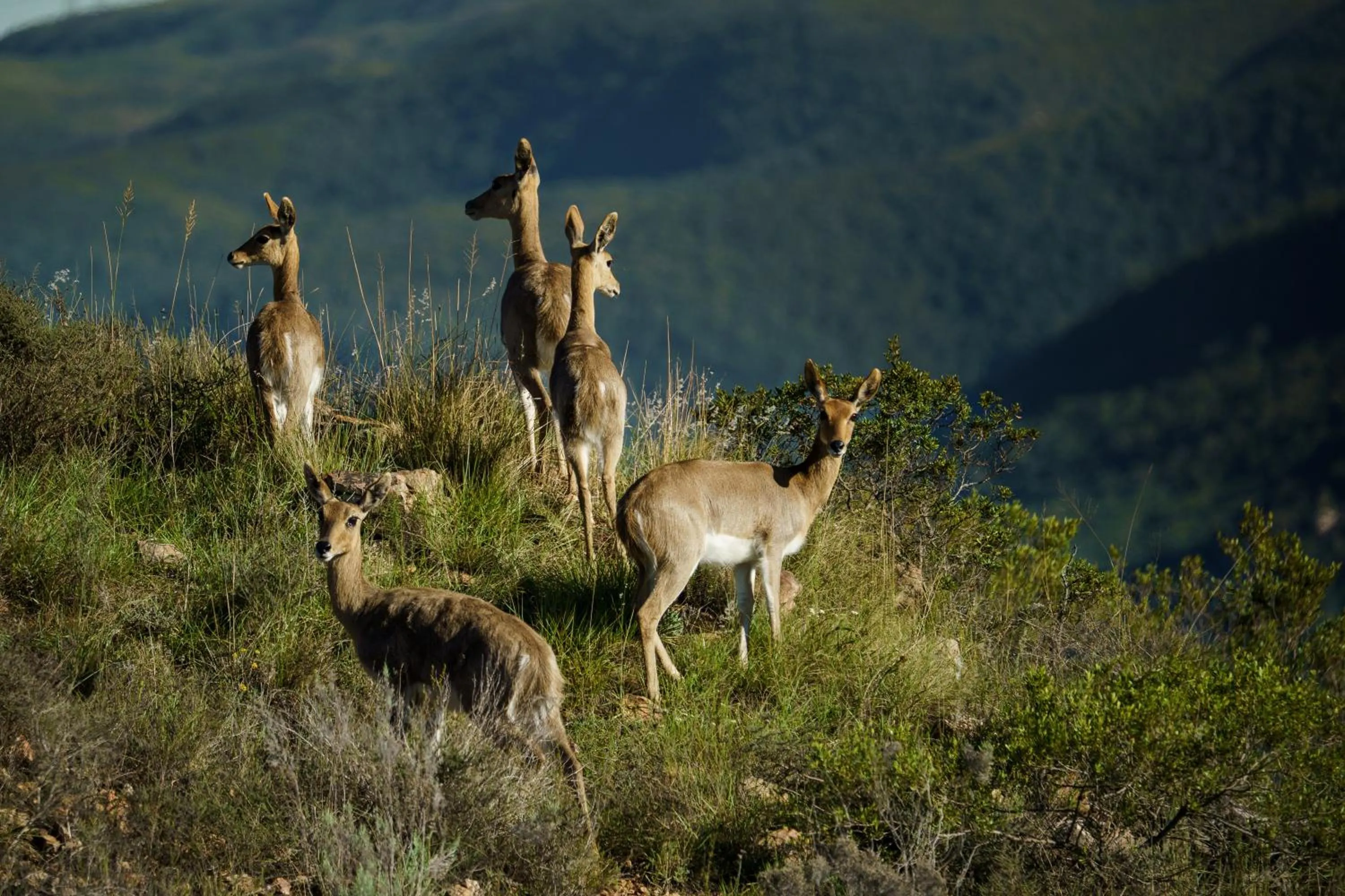 Natural landscape in RiverBend Lodge