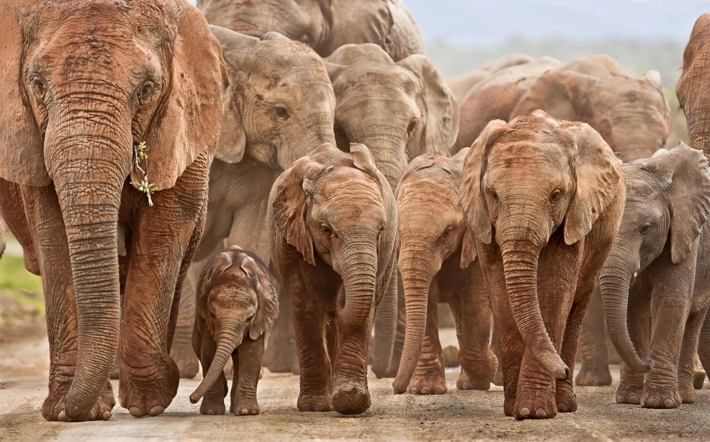 Natural landscape in RiverBend Lodge