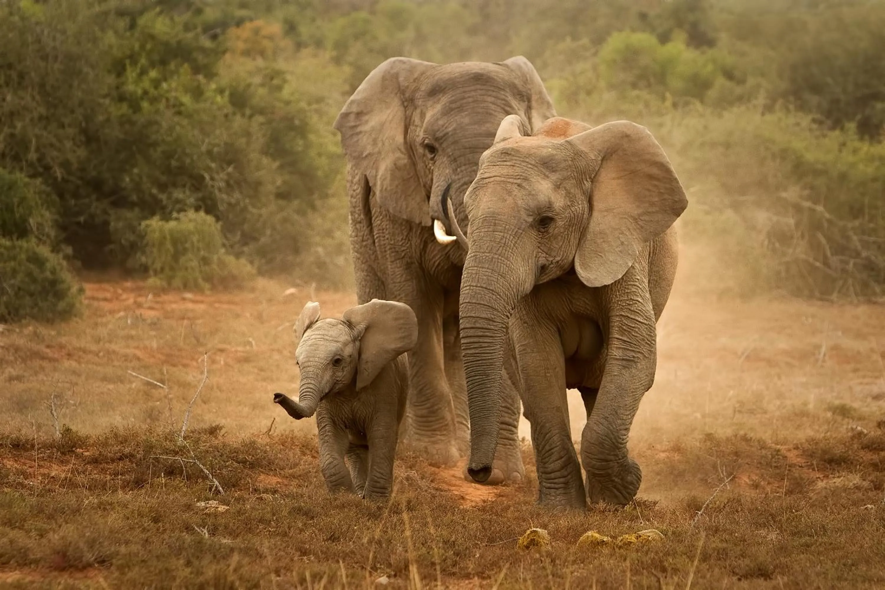 Natural landscape in RiverBend Lodge