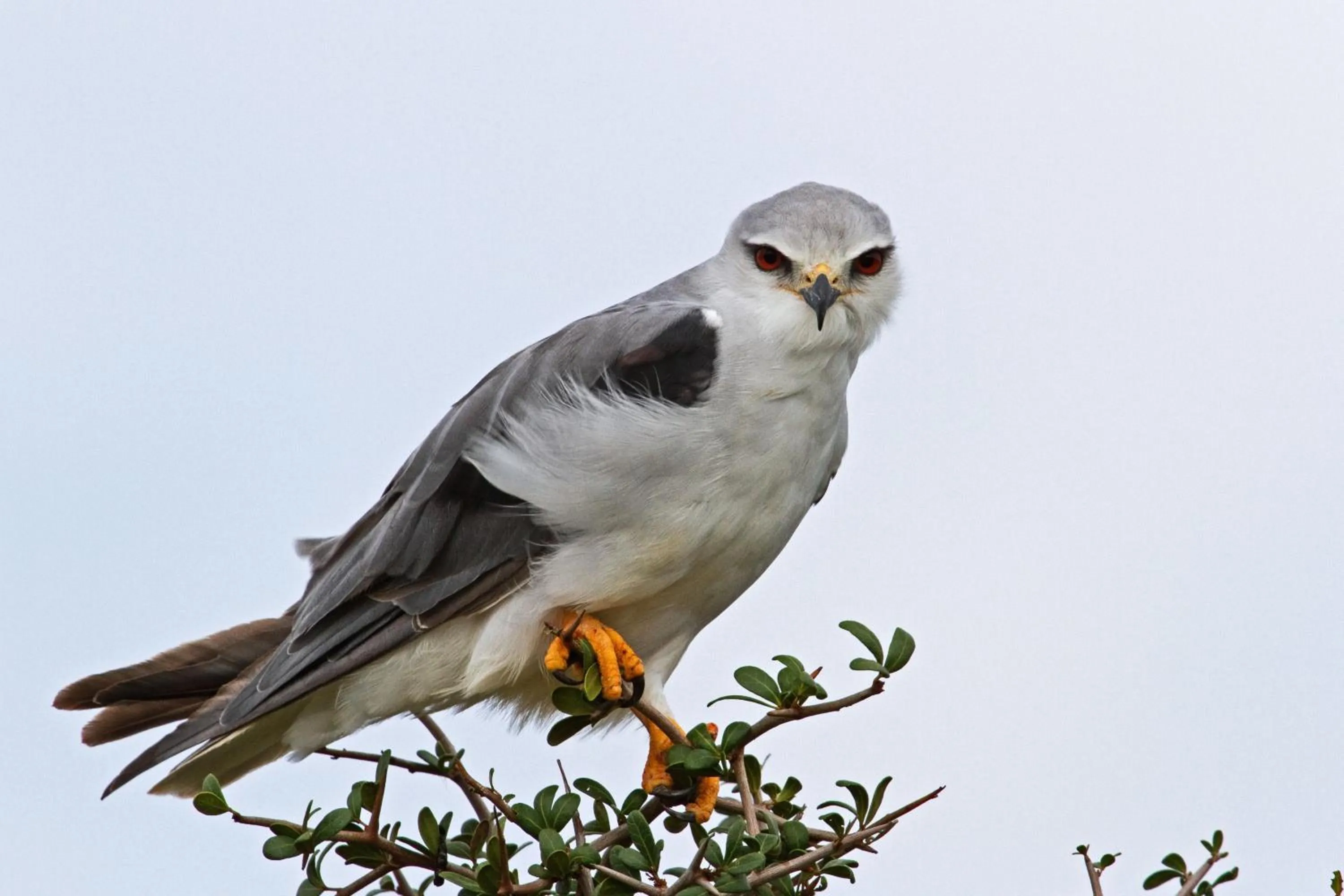 Day in RiverBend Lodge