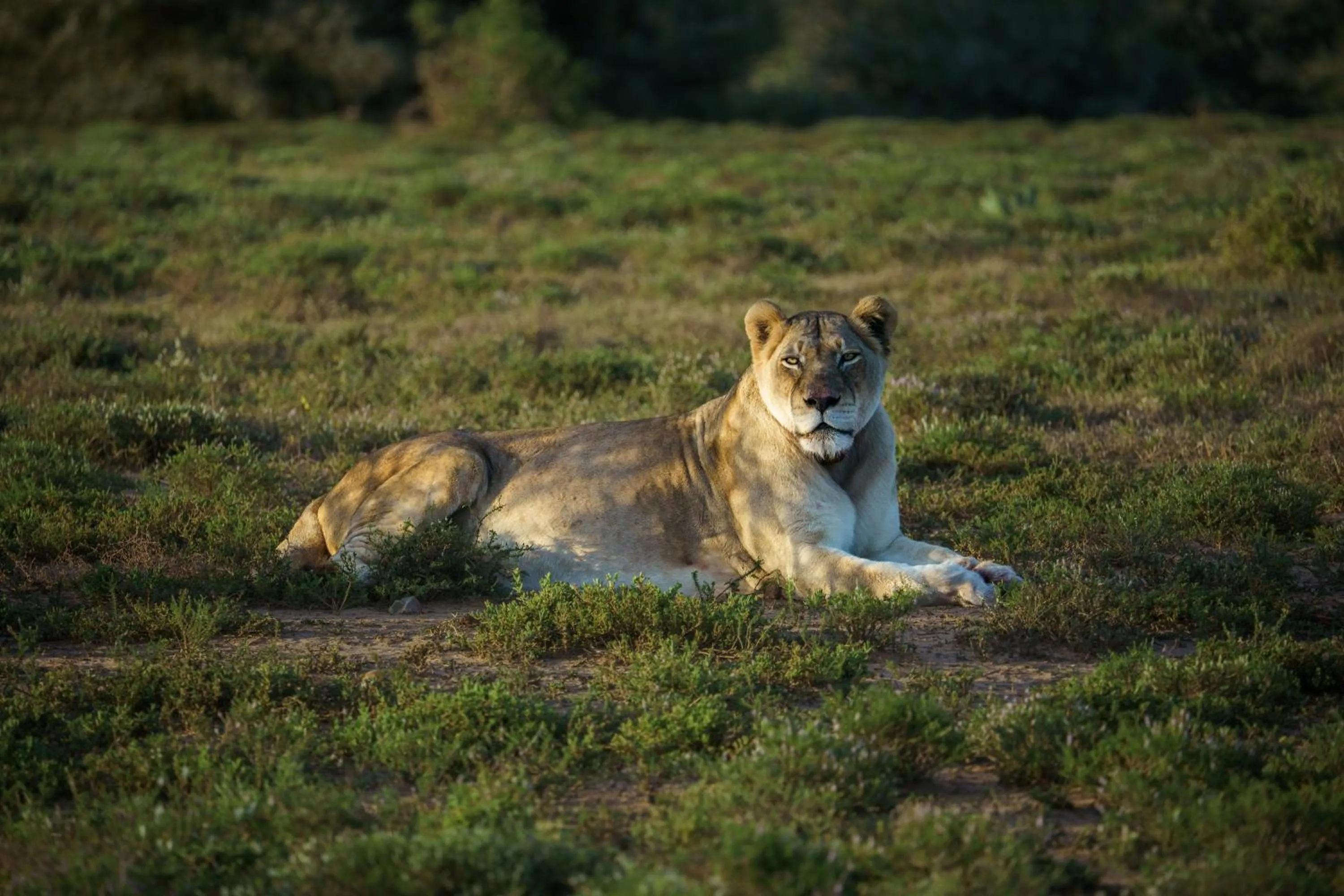 Day in RiverBend Lodge