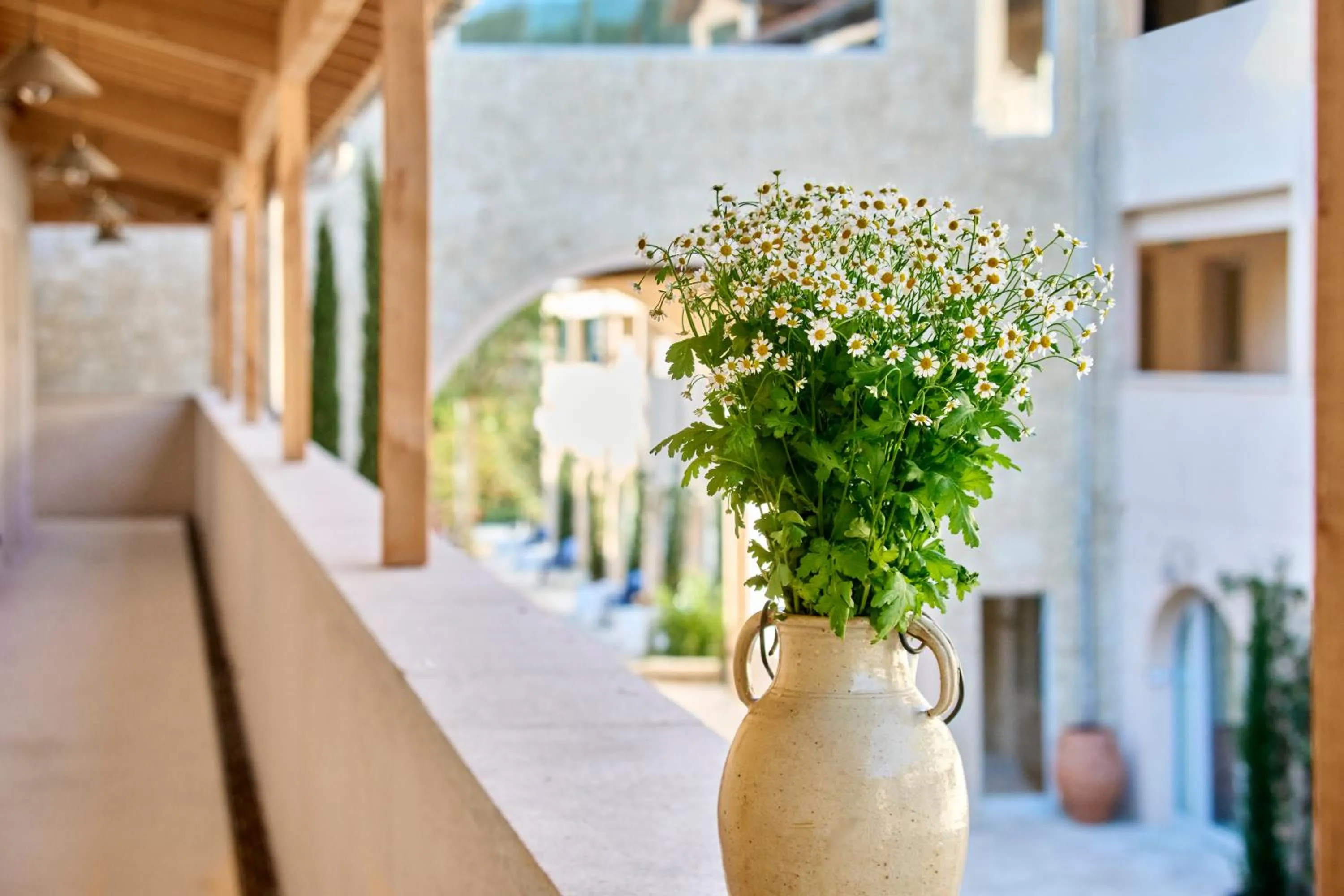 Property building in Auberge La Coste