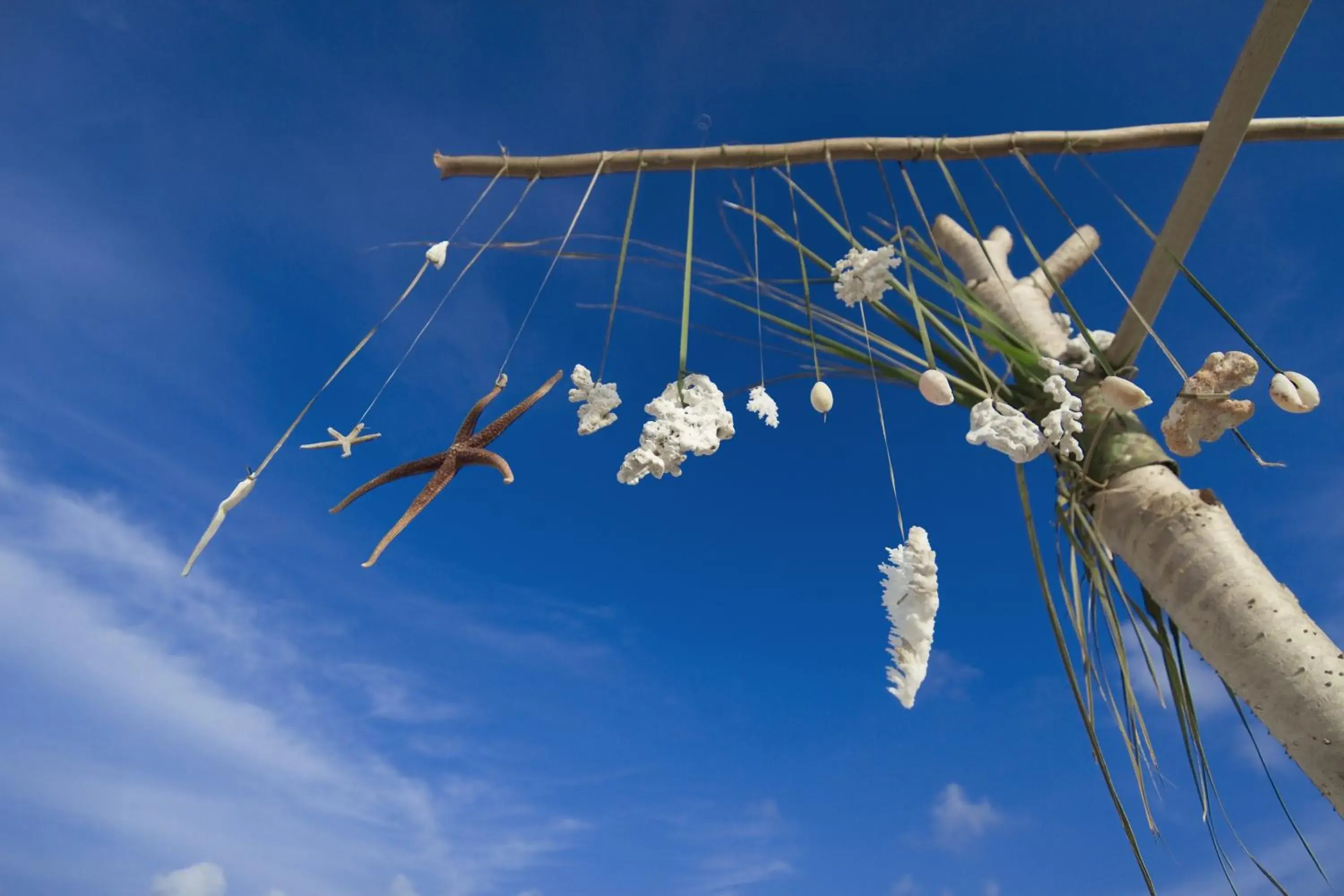 View (from property/room) in Plumeria Maldives View (from property/room) in Plumeria Maldives