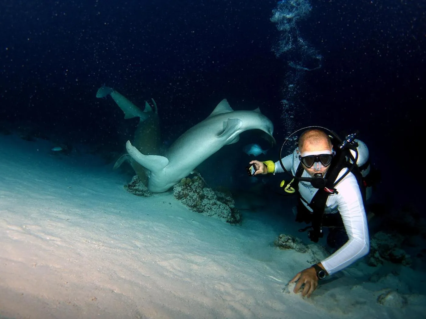 Diving in Plumeria Maldives