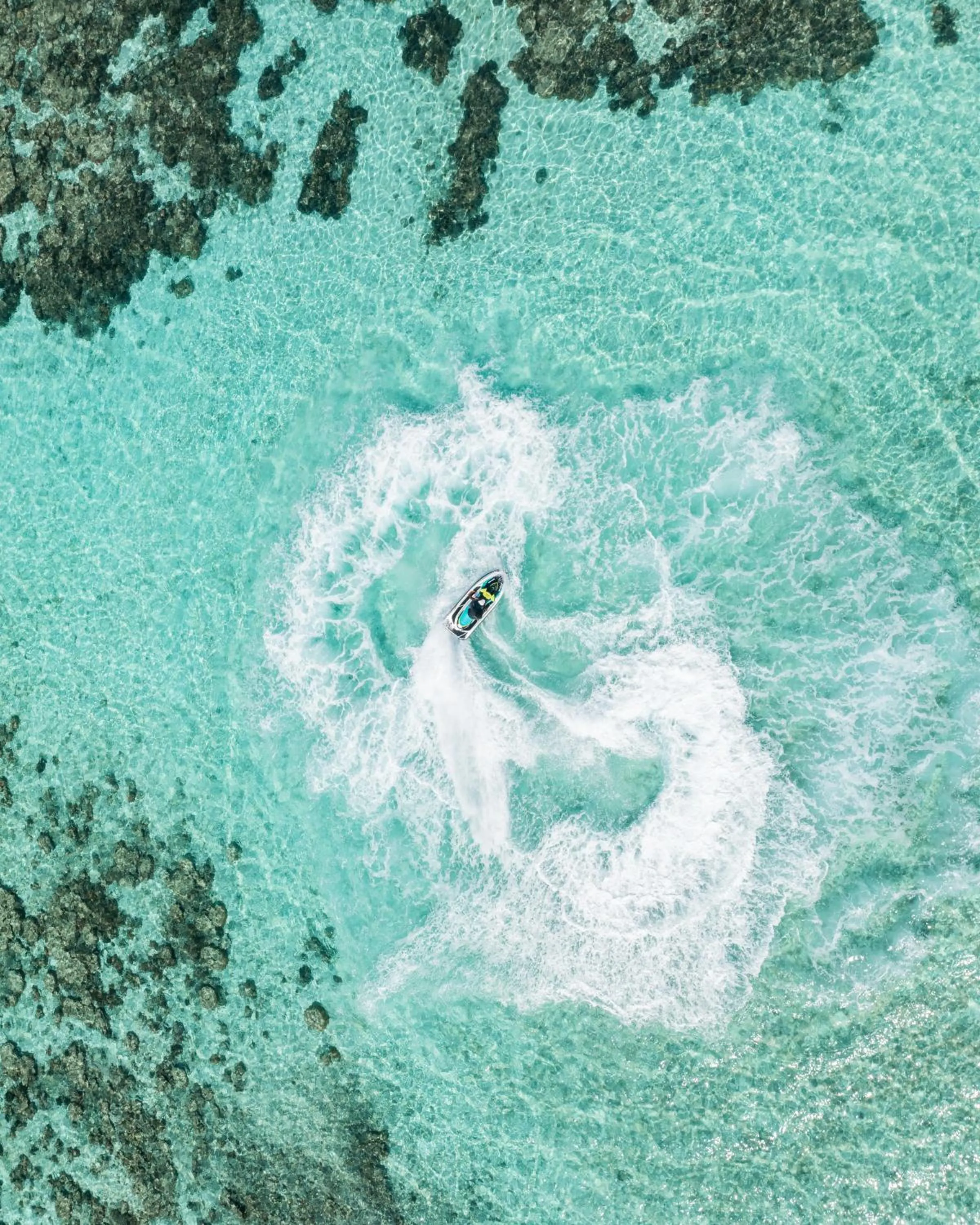 Day in Plumeria Maldives