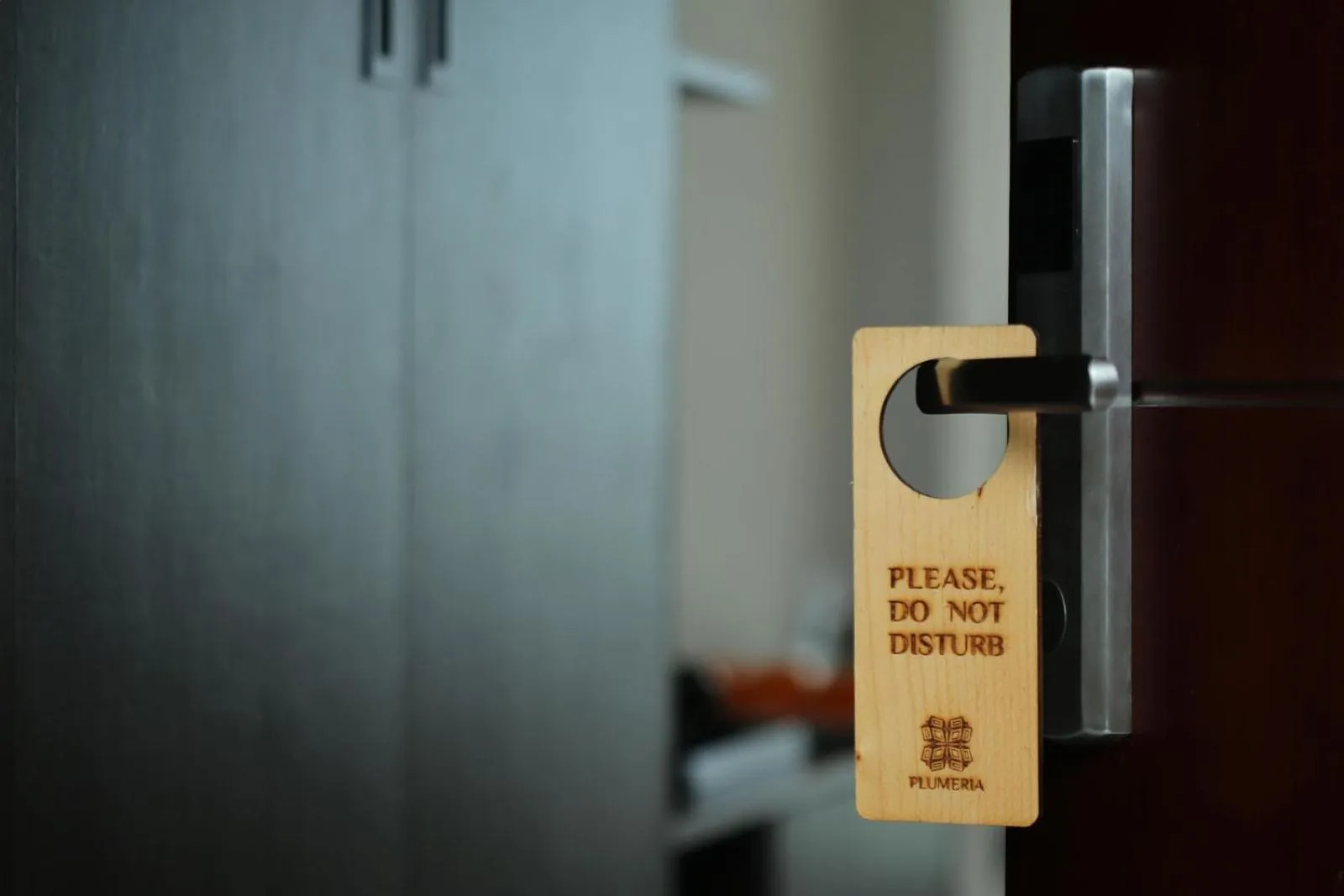 Photo of the whole room in Plumeria Maldives