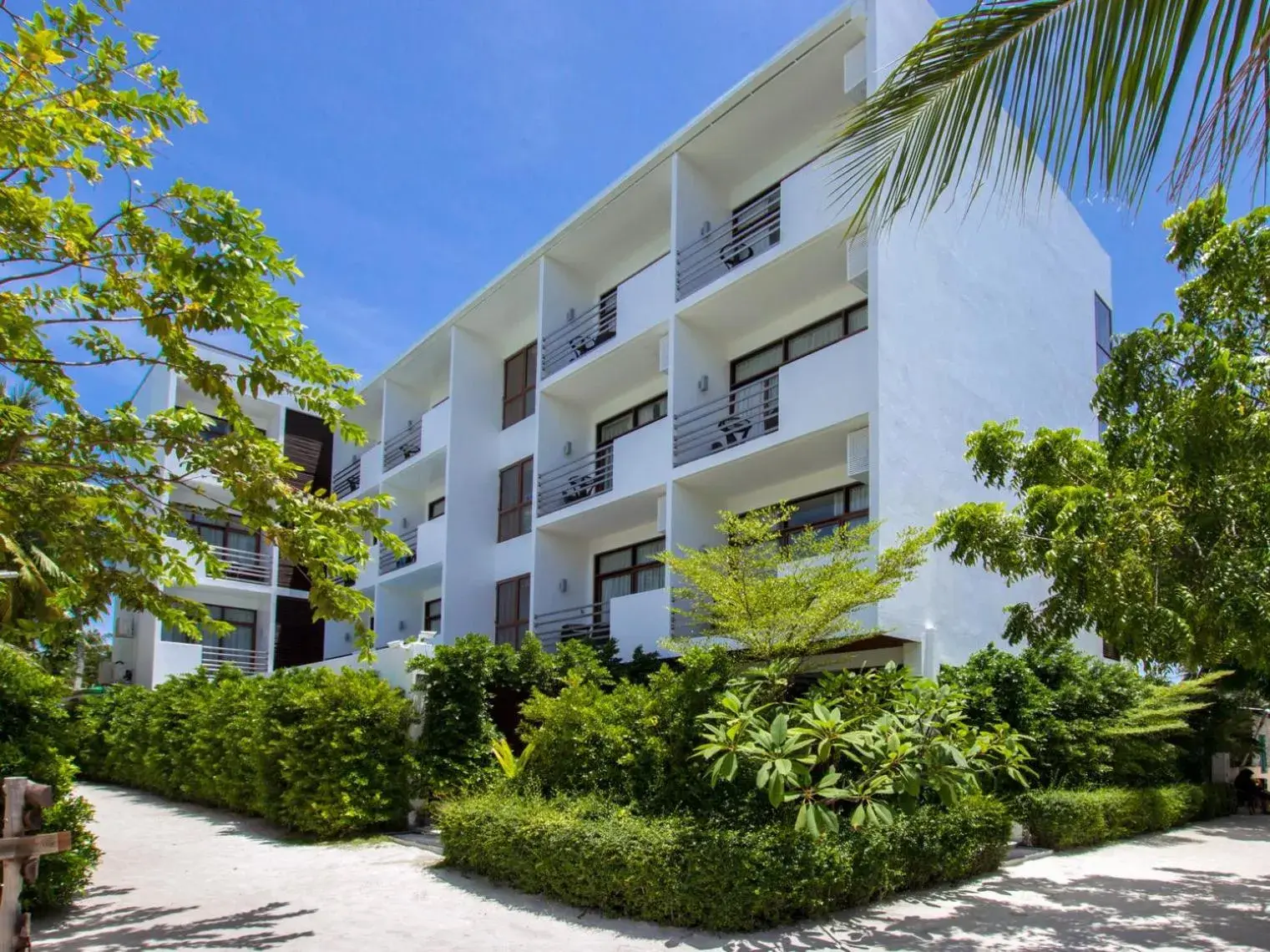 Facade/entrance in Plumeria Maldives Facade/entrance in Plumeria Maldives