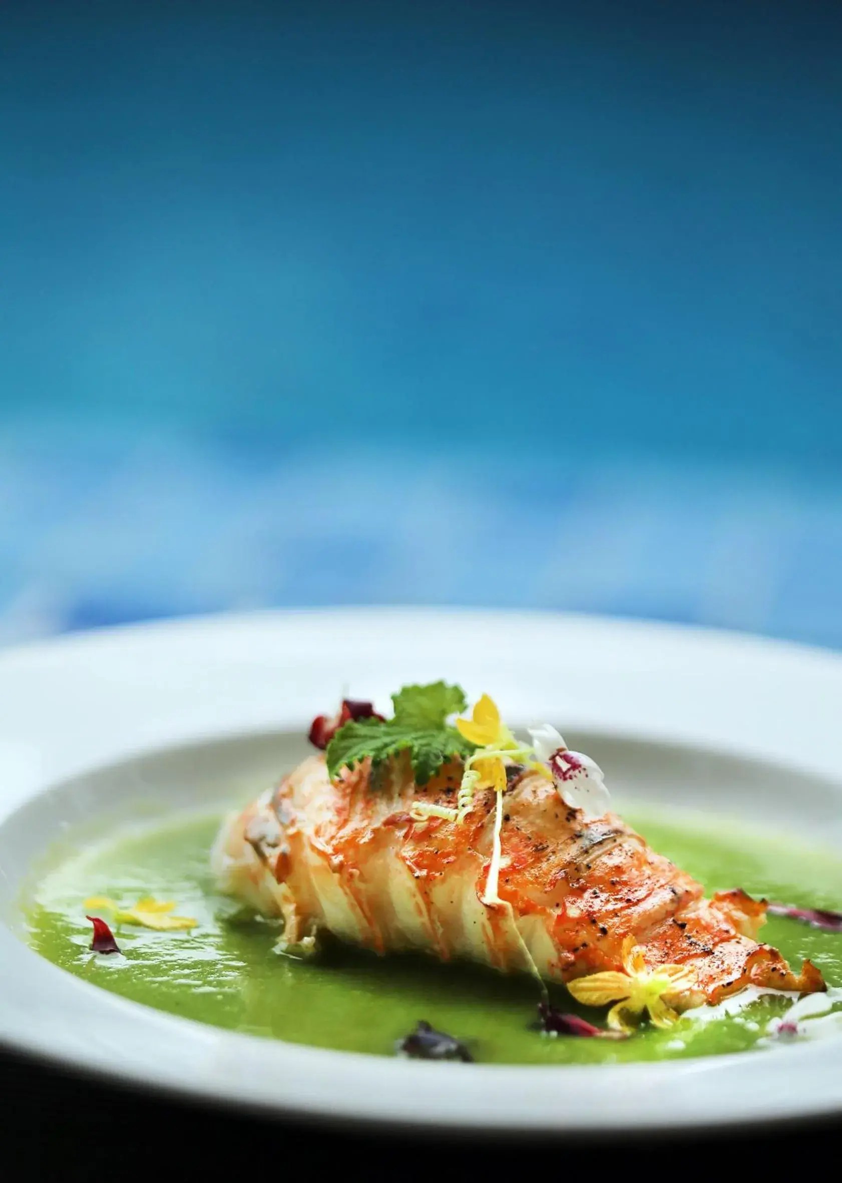 Food close-up in Plumeria Maldives Food close-up in Plumeria Maldives