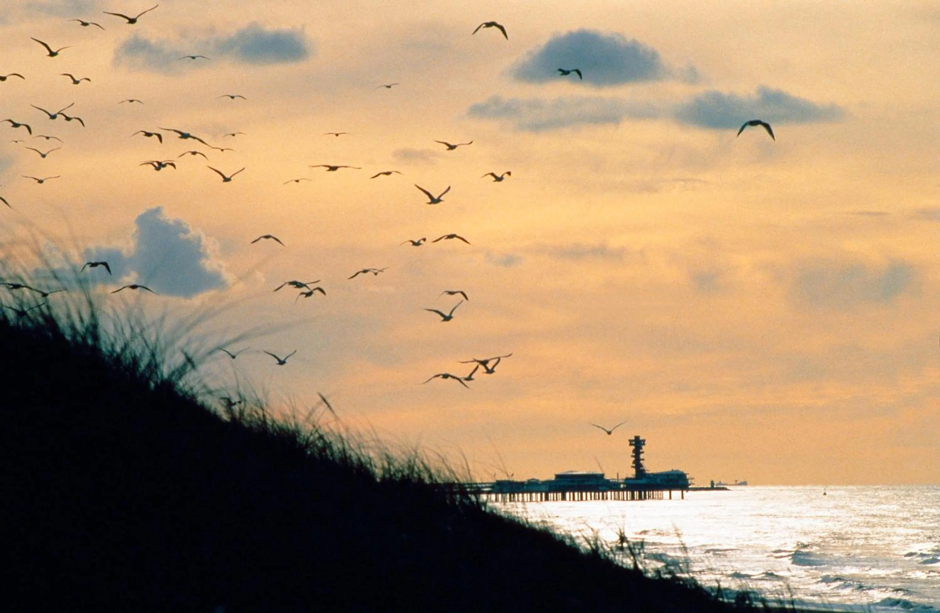 View (from property/room) in Strandhotel Scheveningen