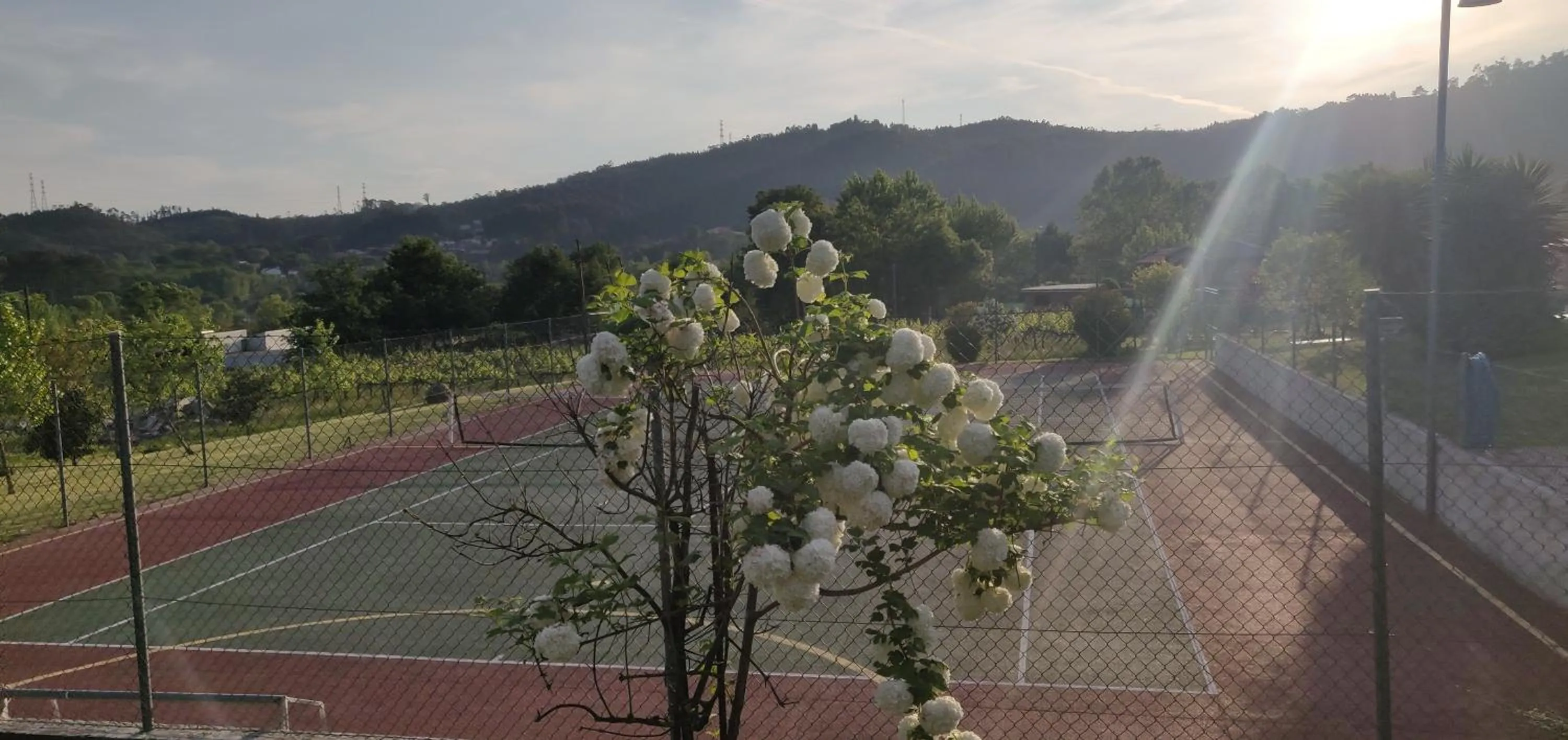 Quinta Lama de Cima