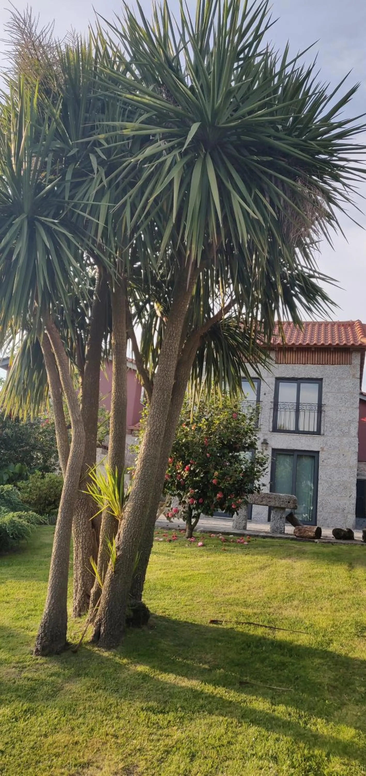 Quinta Lama de Cima