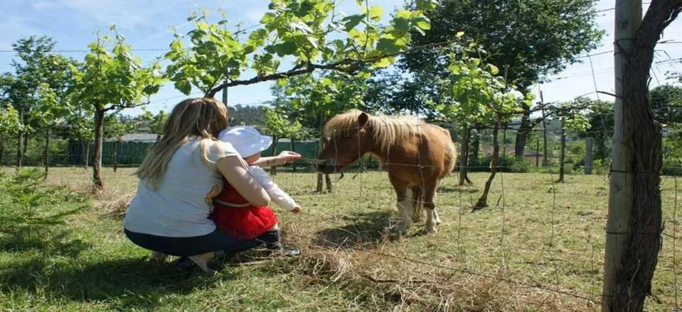 Pets in Quinta Lama de Cima
