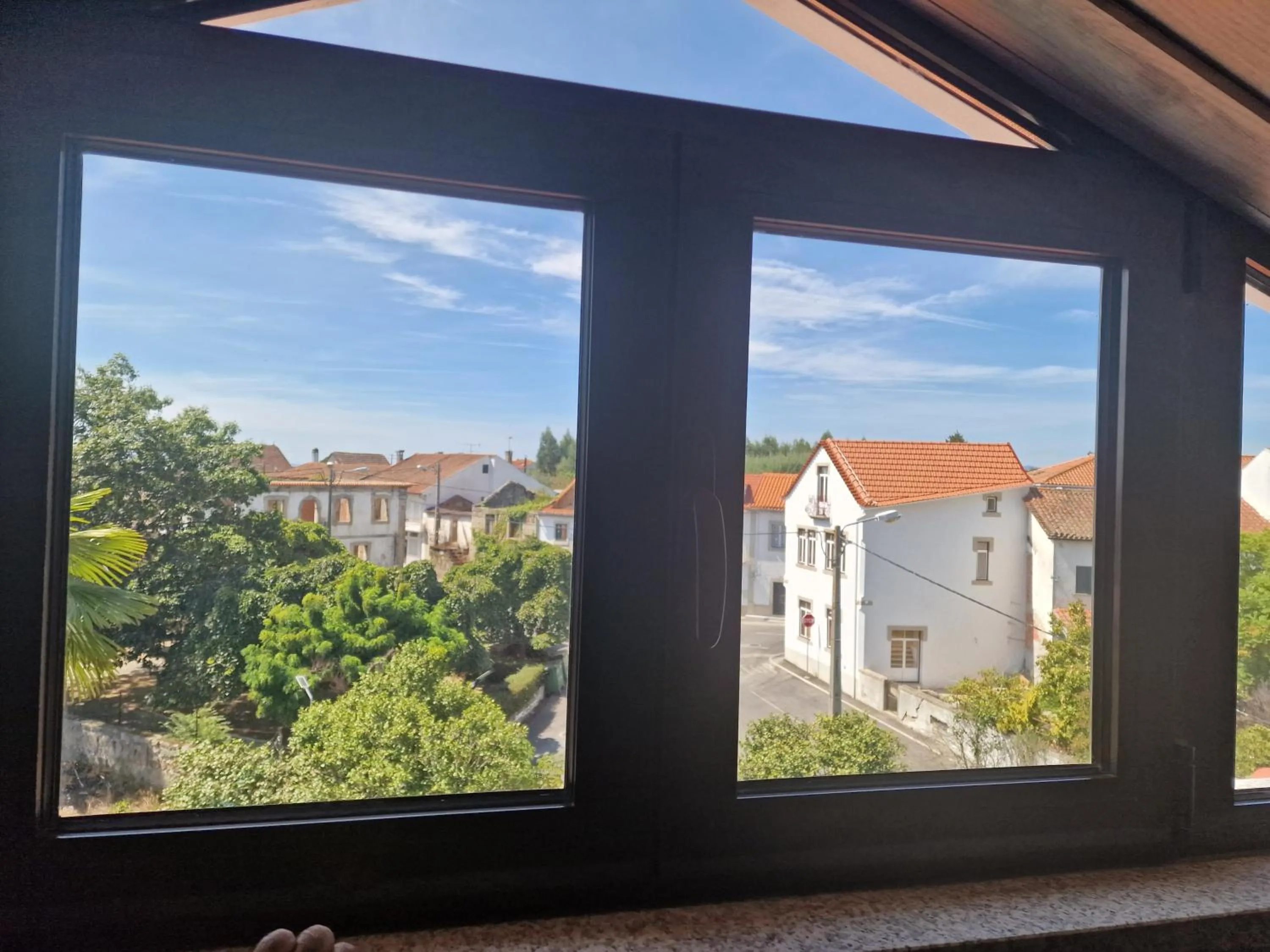 Garden view in Palace Hotel de Midões