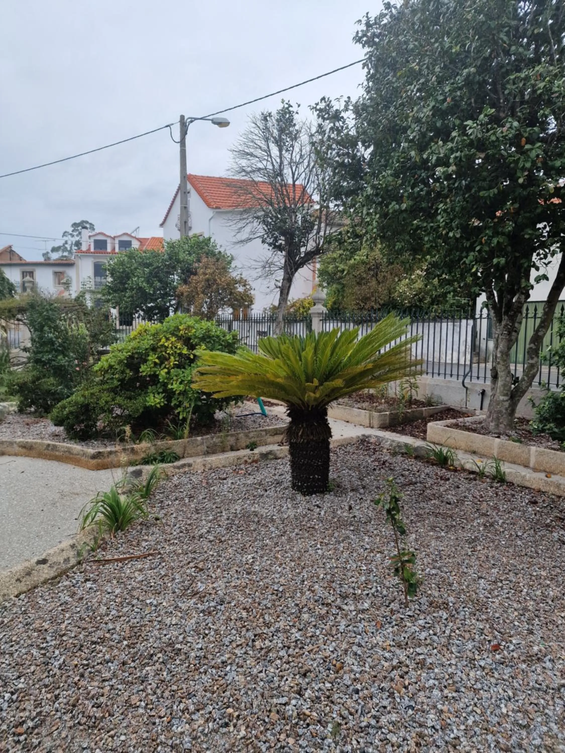 Garden in Palace Hotel de Midões