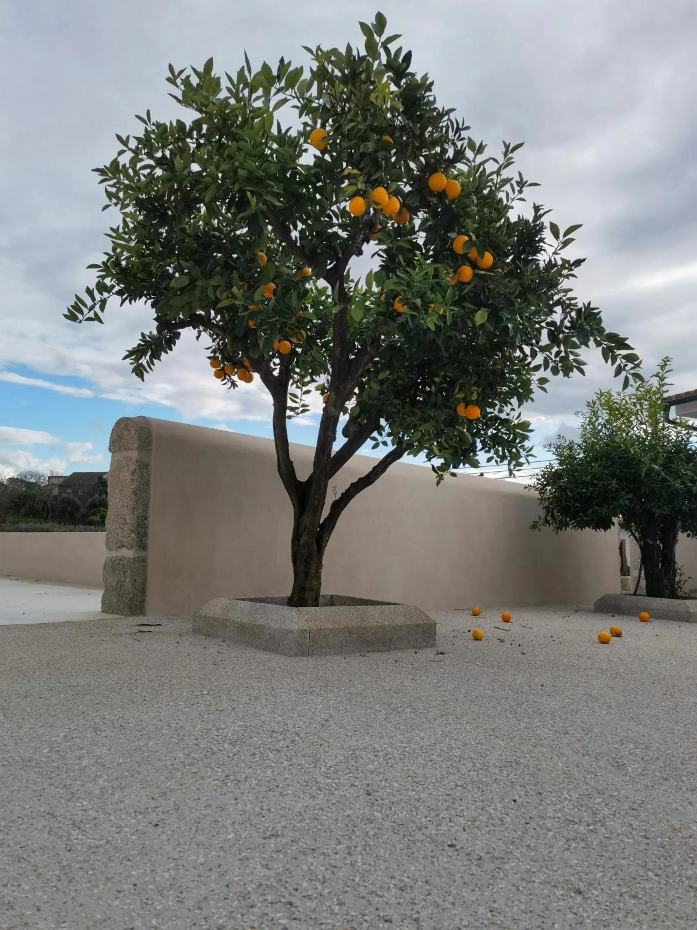 Off site in Palace Hotel de Midões