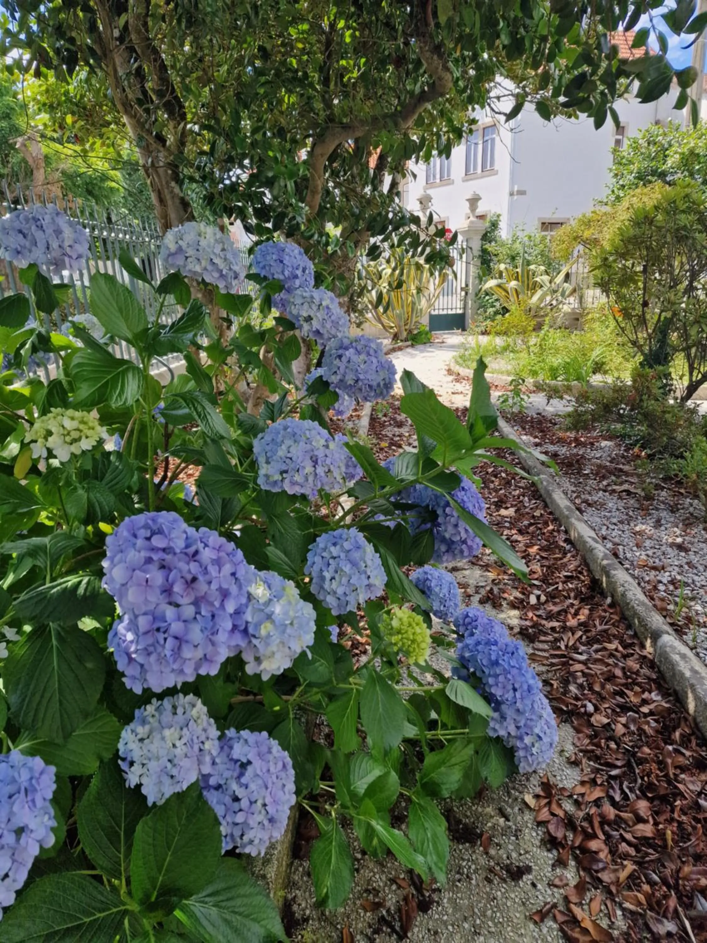 Day in Palace Hotel de Midões