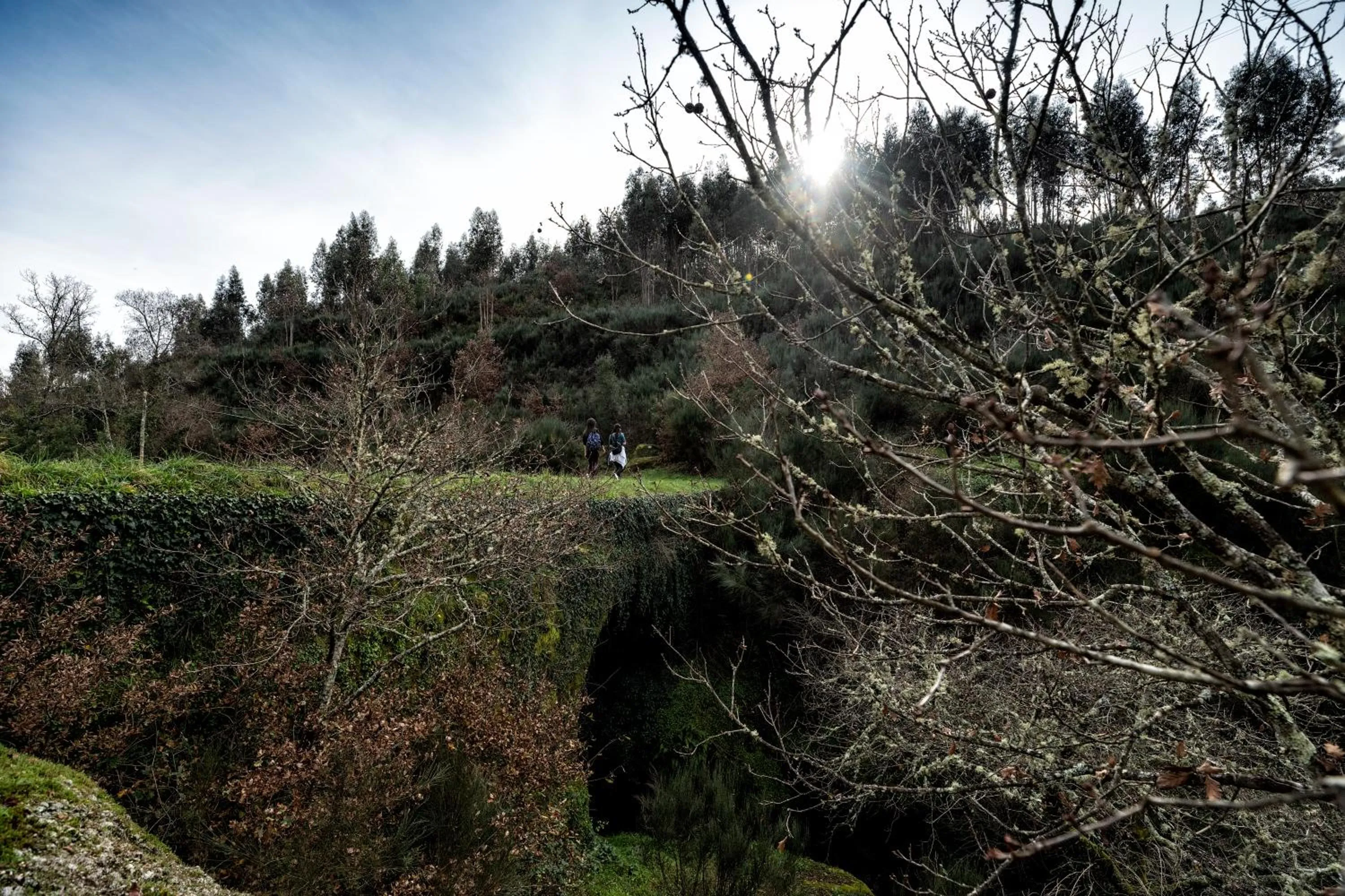 Nearby landmark in Palace Hotel de Midões