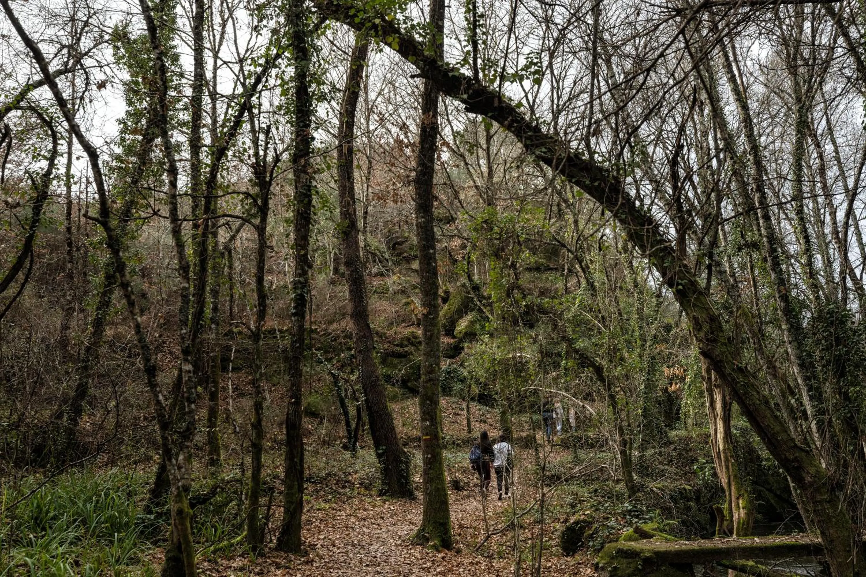 Nearby landmark in Palace Hotel de Midões