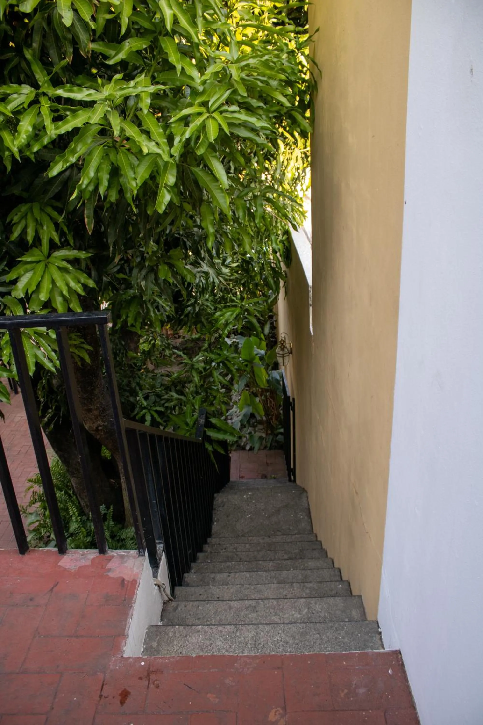 Garden in Volcano Hostal y Restaurante