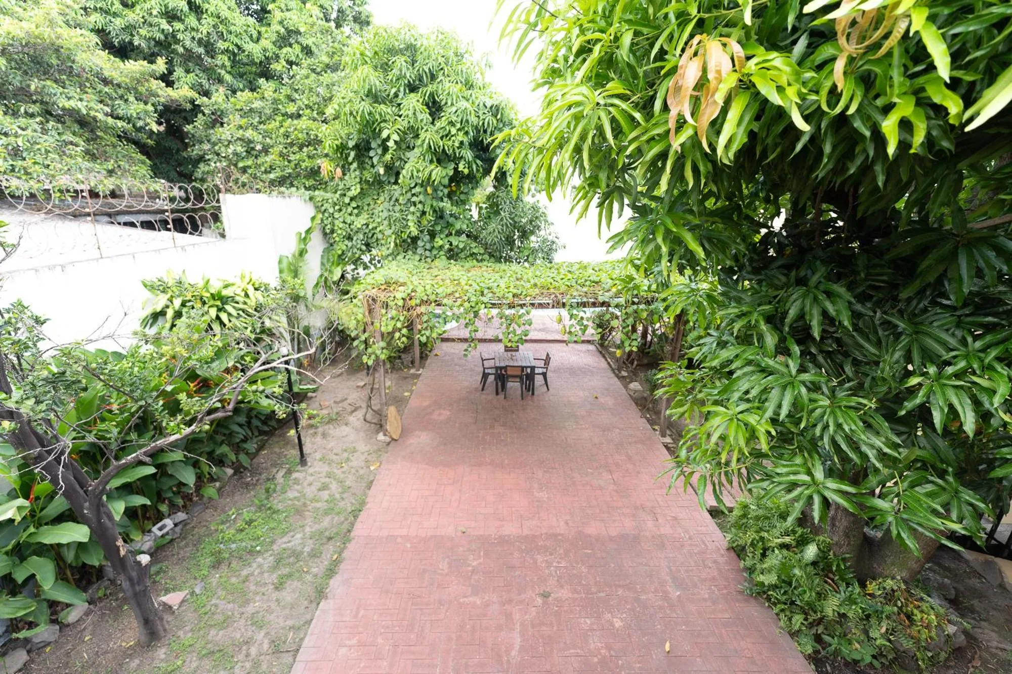 Balcony/Terrace in Volcano Hostal y Restaurante