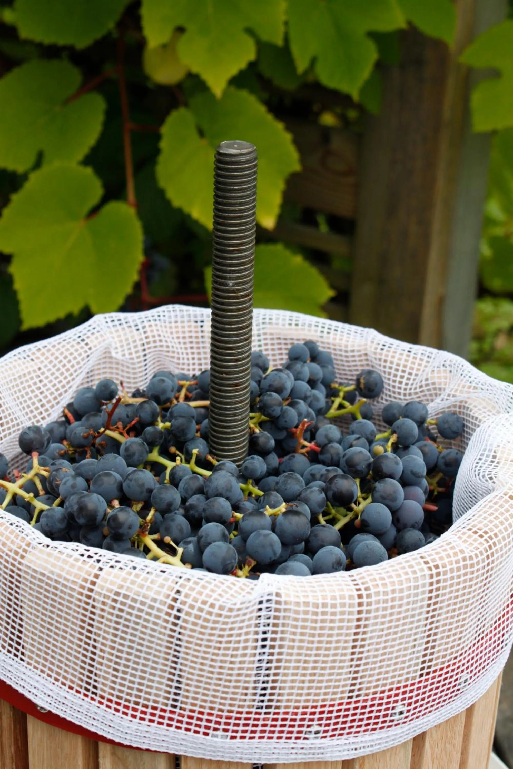 Natural landscape in Hotell Zlafen Bed and Breakfast