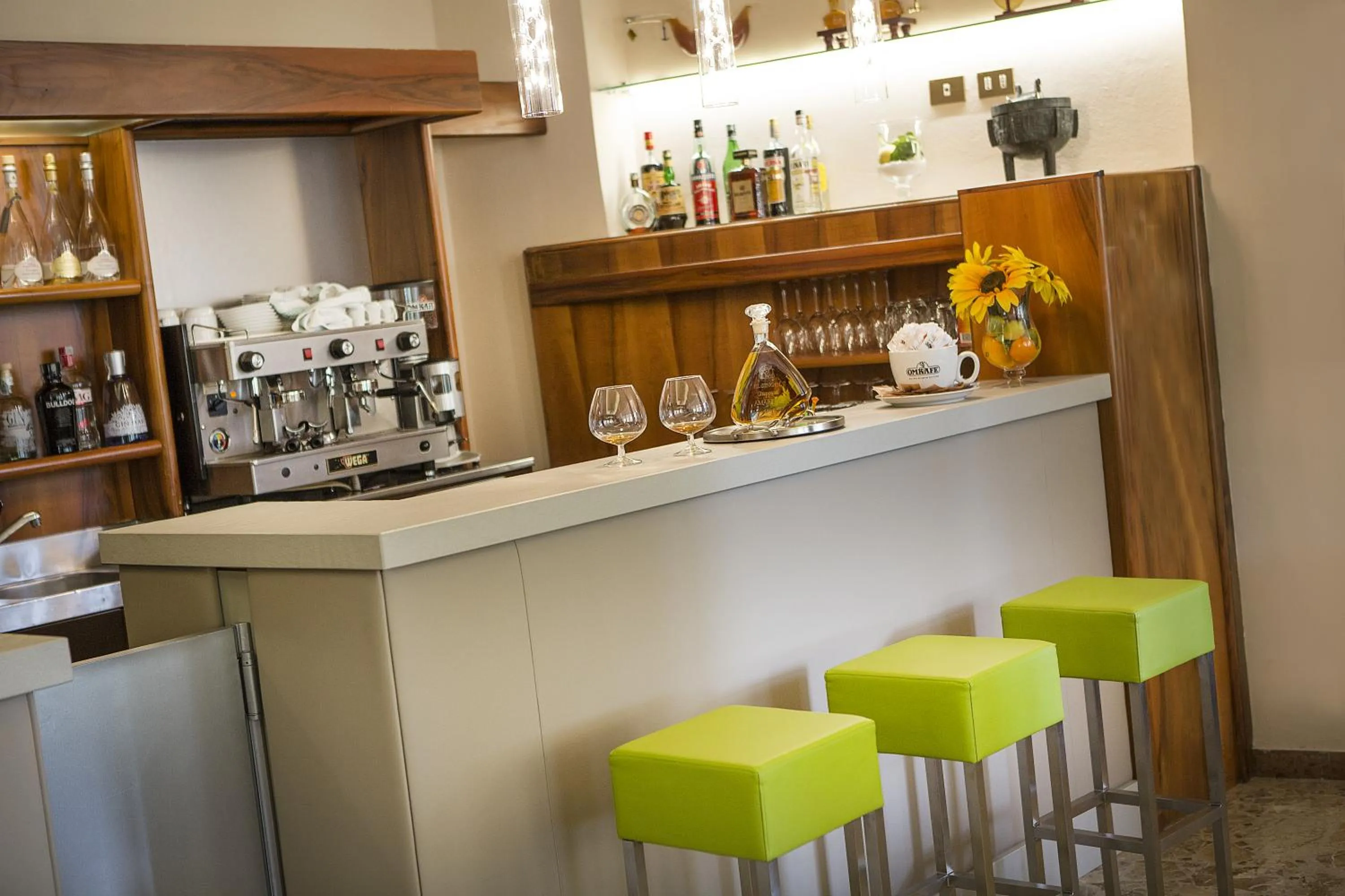 Lounge or bar in Hotel Livia