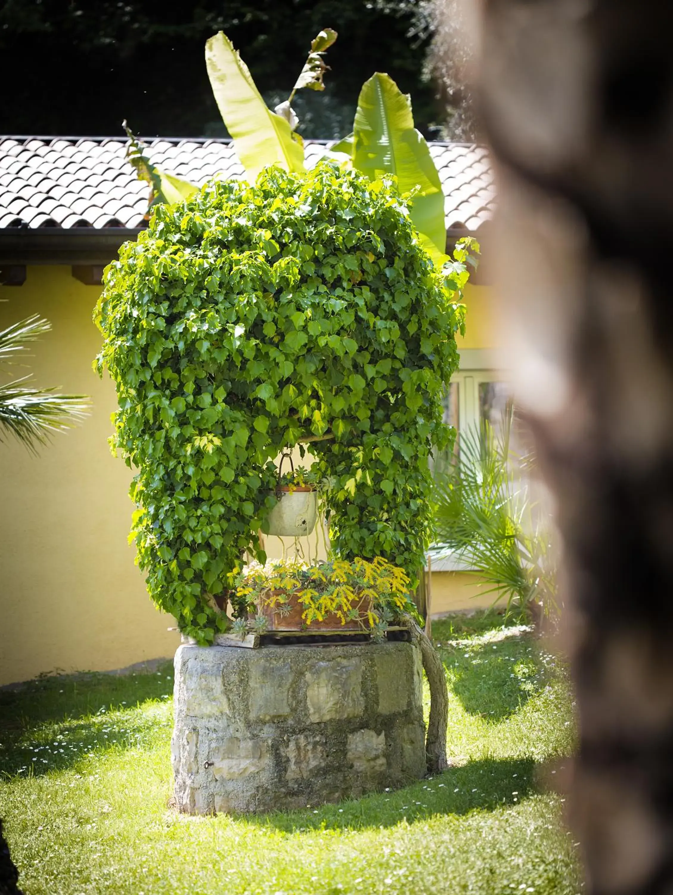 Garden in Hotel Livia