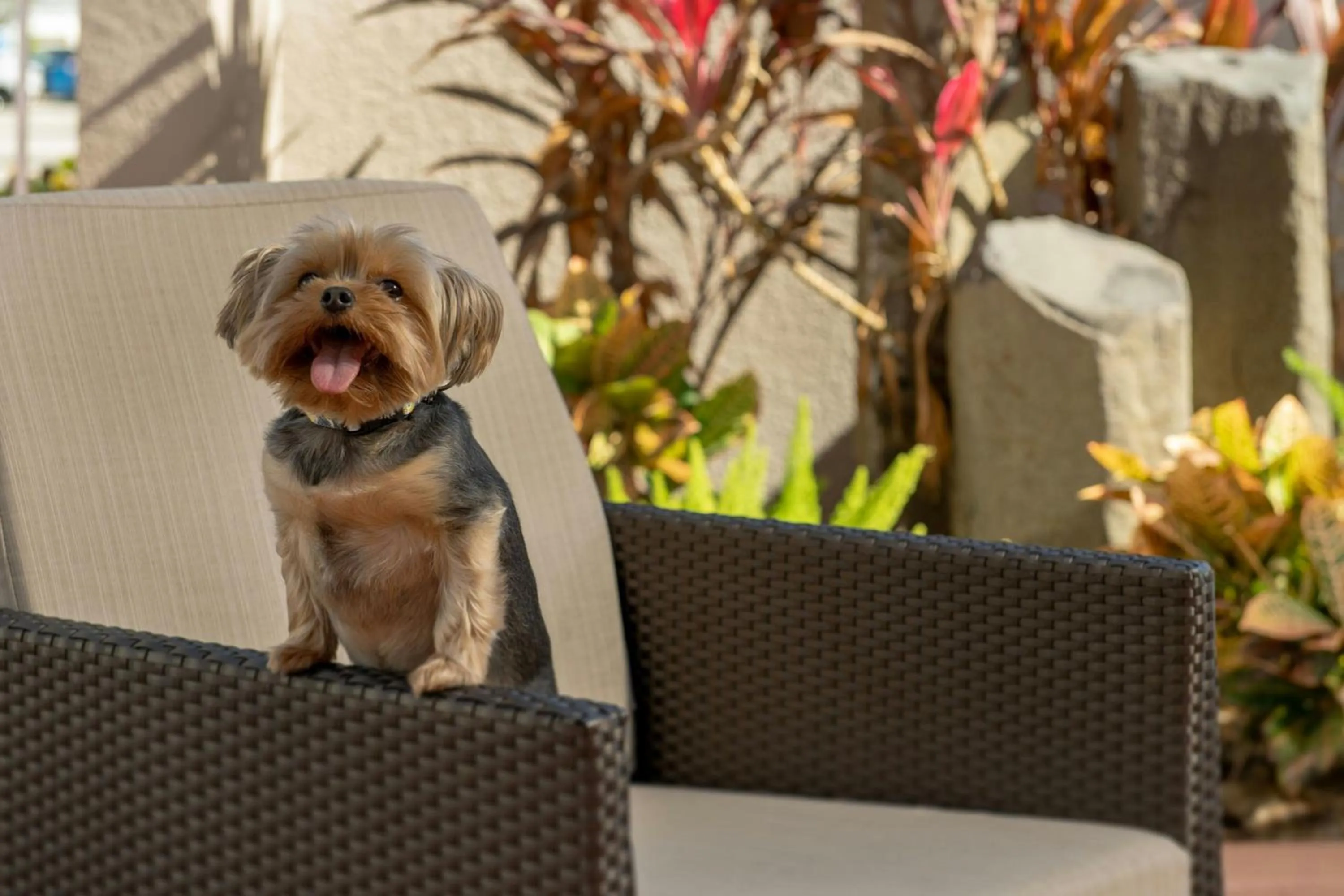 Other in Residence Inn by Marriott Fort Lauderdale Airport & Cruise Port