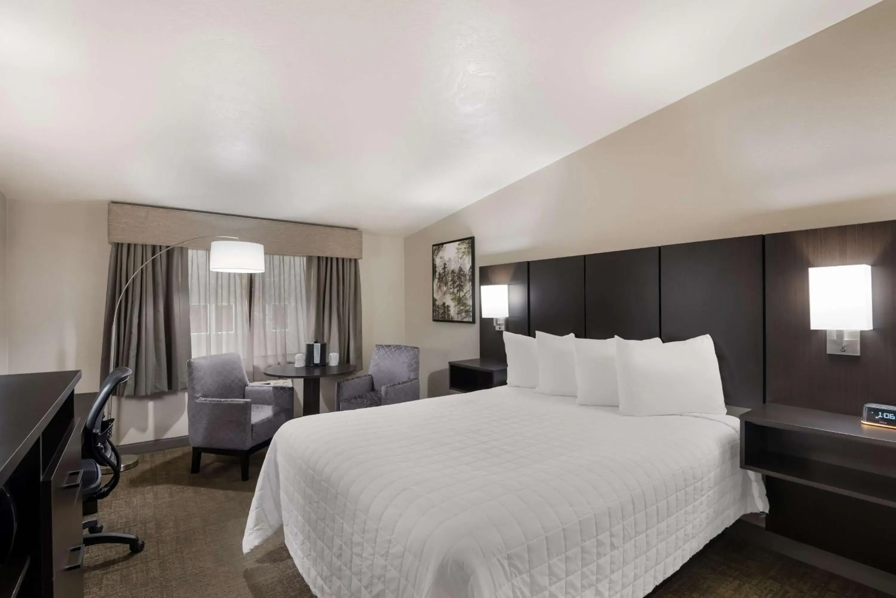 Queen Room - Non-Smoking in Best Western New Oregon Motel Queen Room - Non-Smoking in Best Western New Oregon Motel