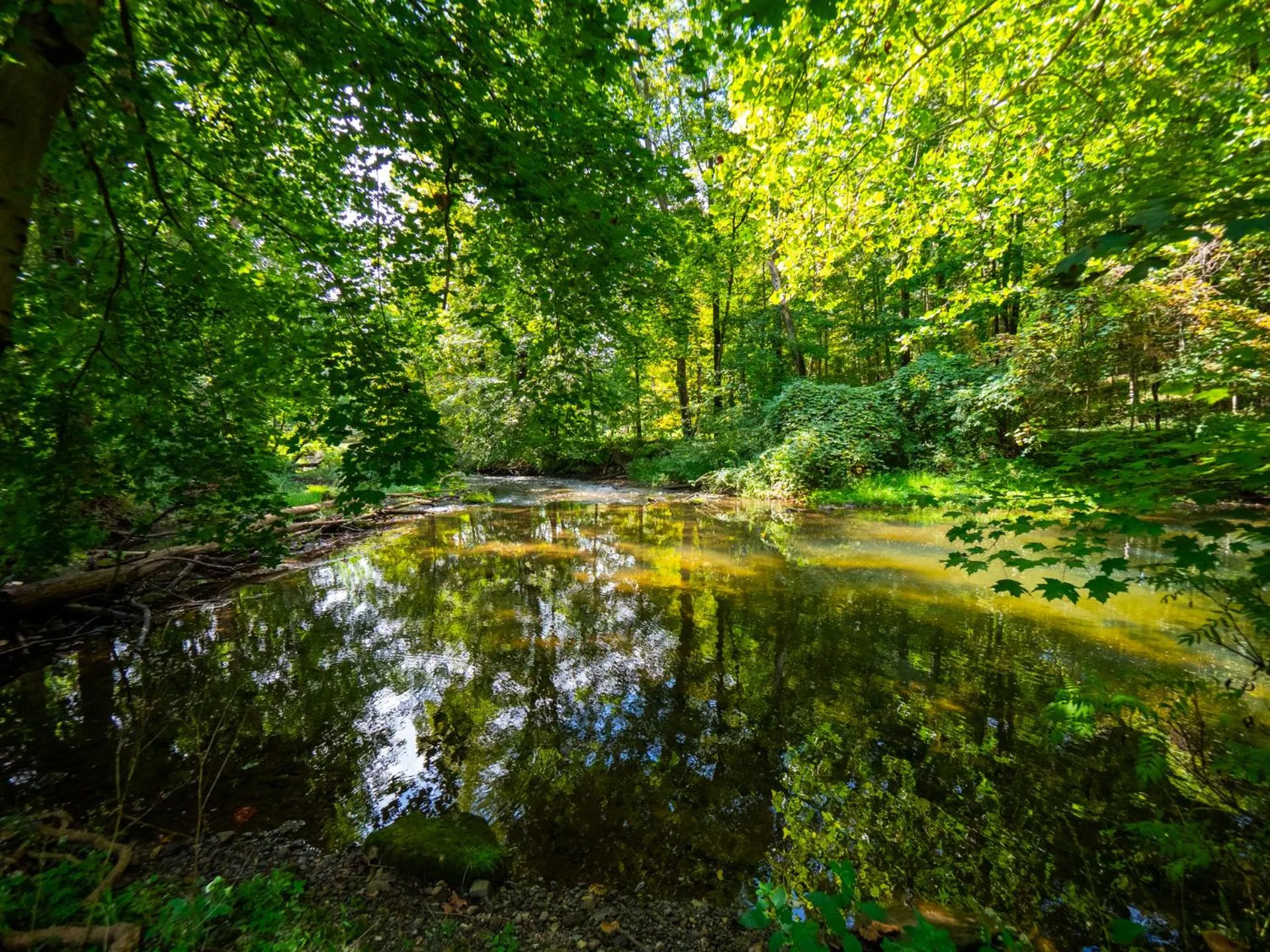 View (from property/room) in The Brooks Motel
