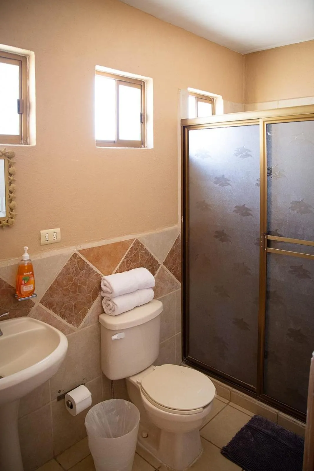 Garimar Condominios en San Carlos