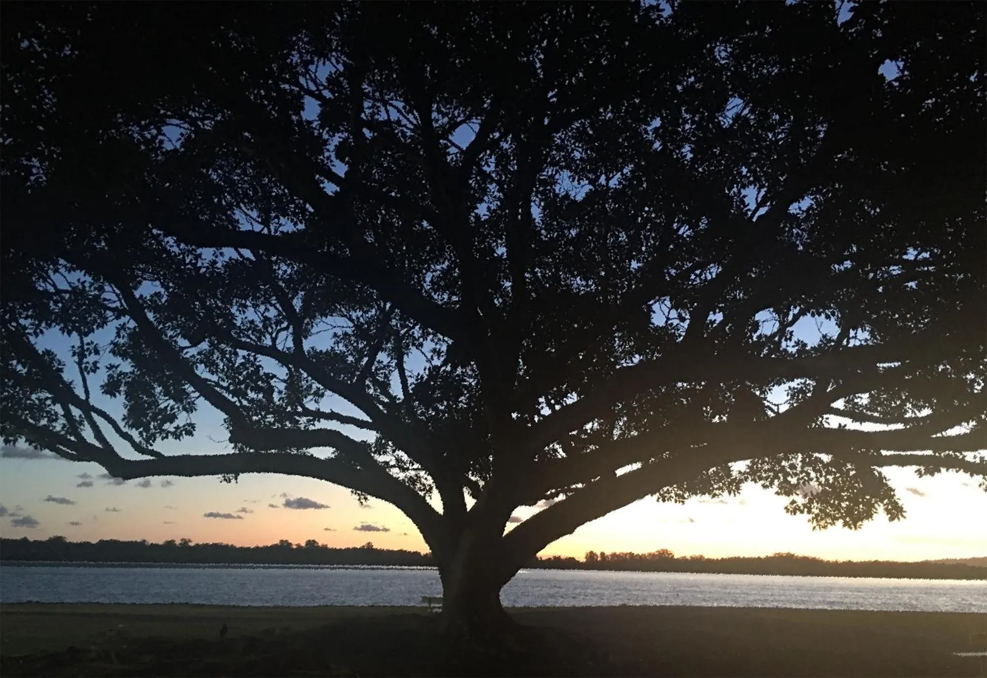 Nearby landmark in Riversleigh House