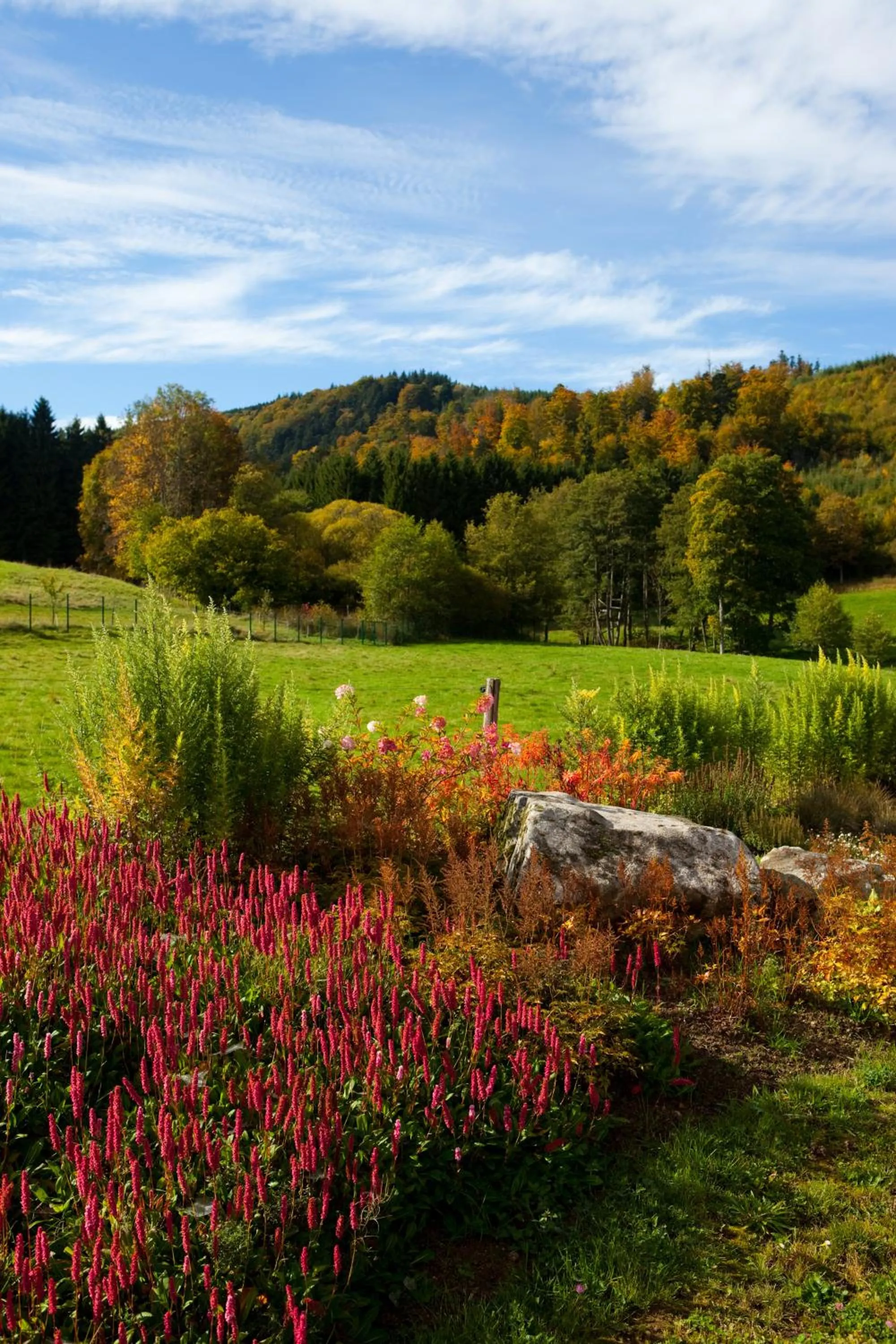 Chambre d'hôtes La Forestière