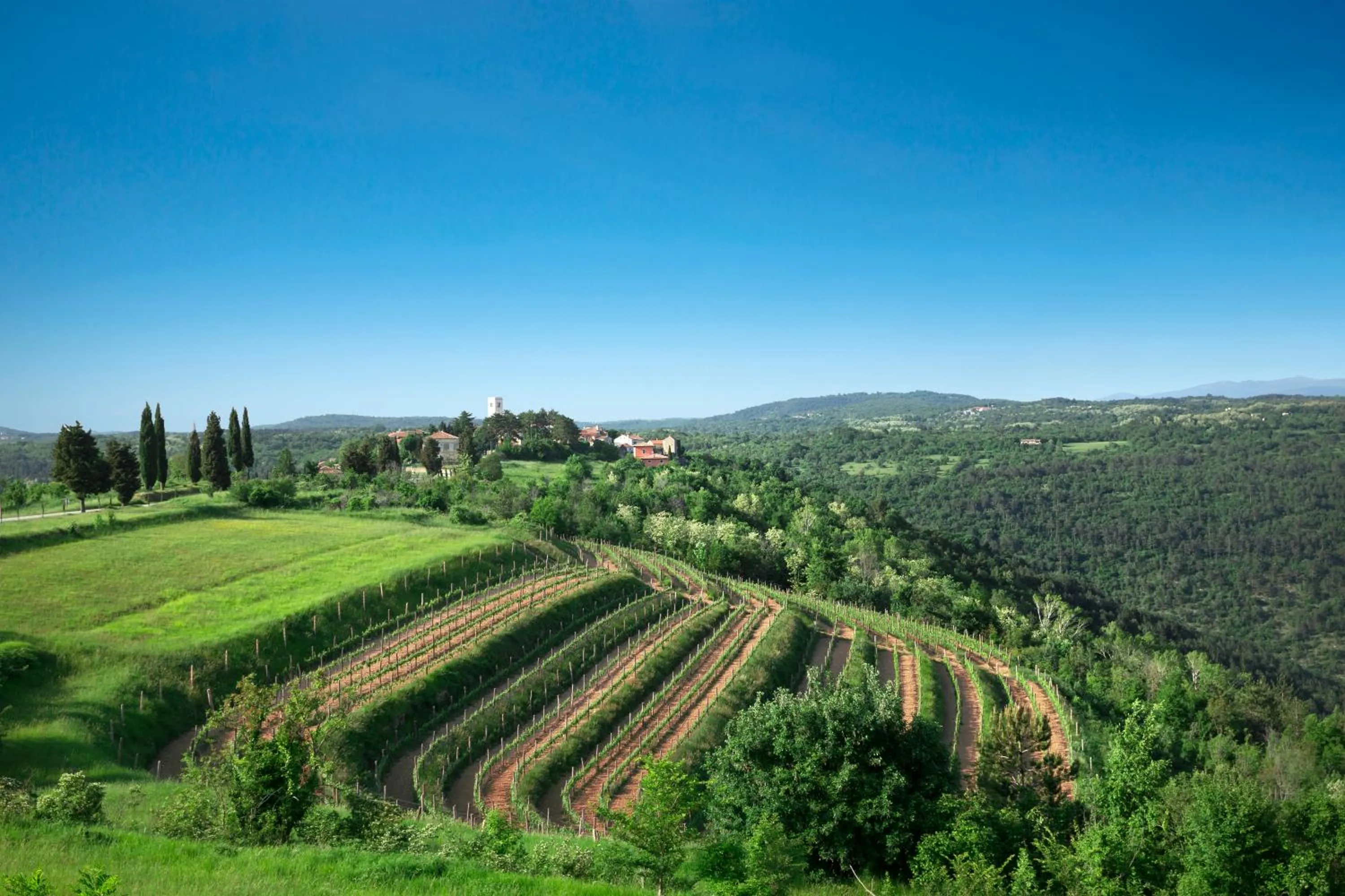 Neighbourhood in Palazzo Angelica B&B Adults Only