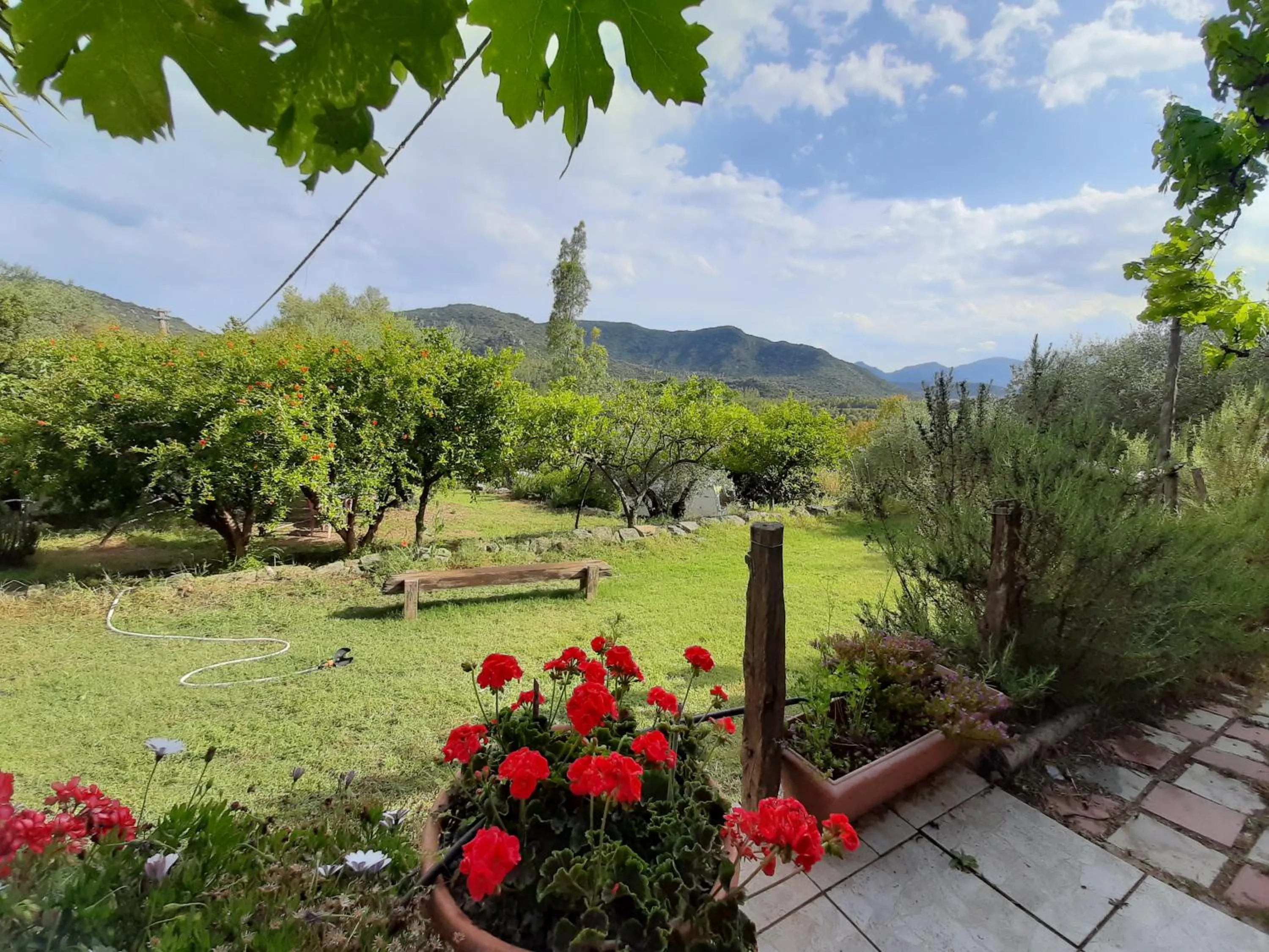 S'Imbragu Farm B&B