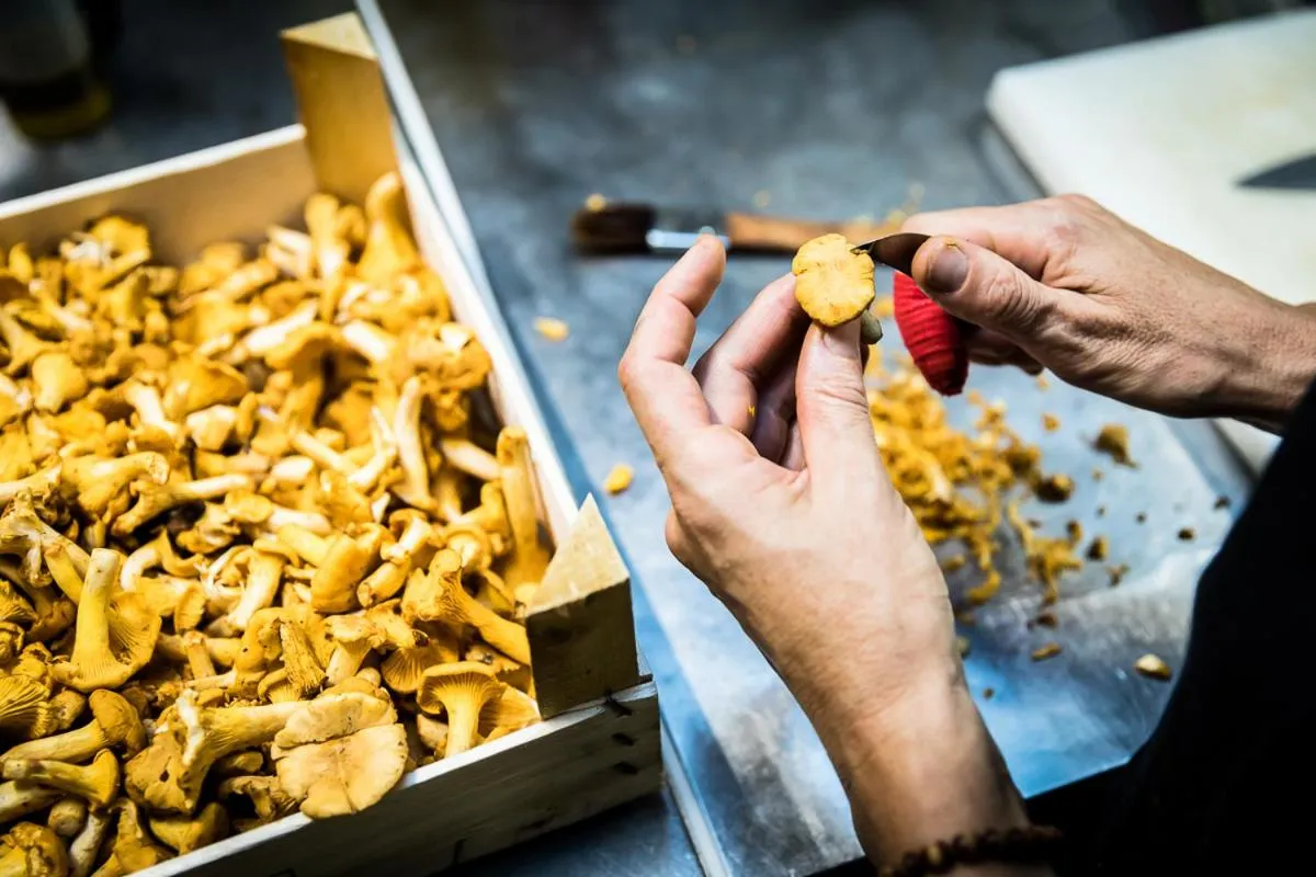 Restaurant/places to eat in Restaurant Hotel Zum Storchen