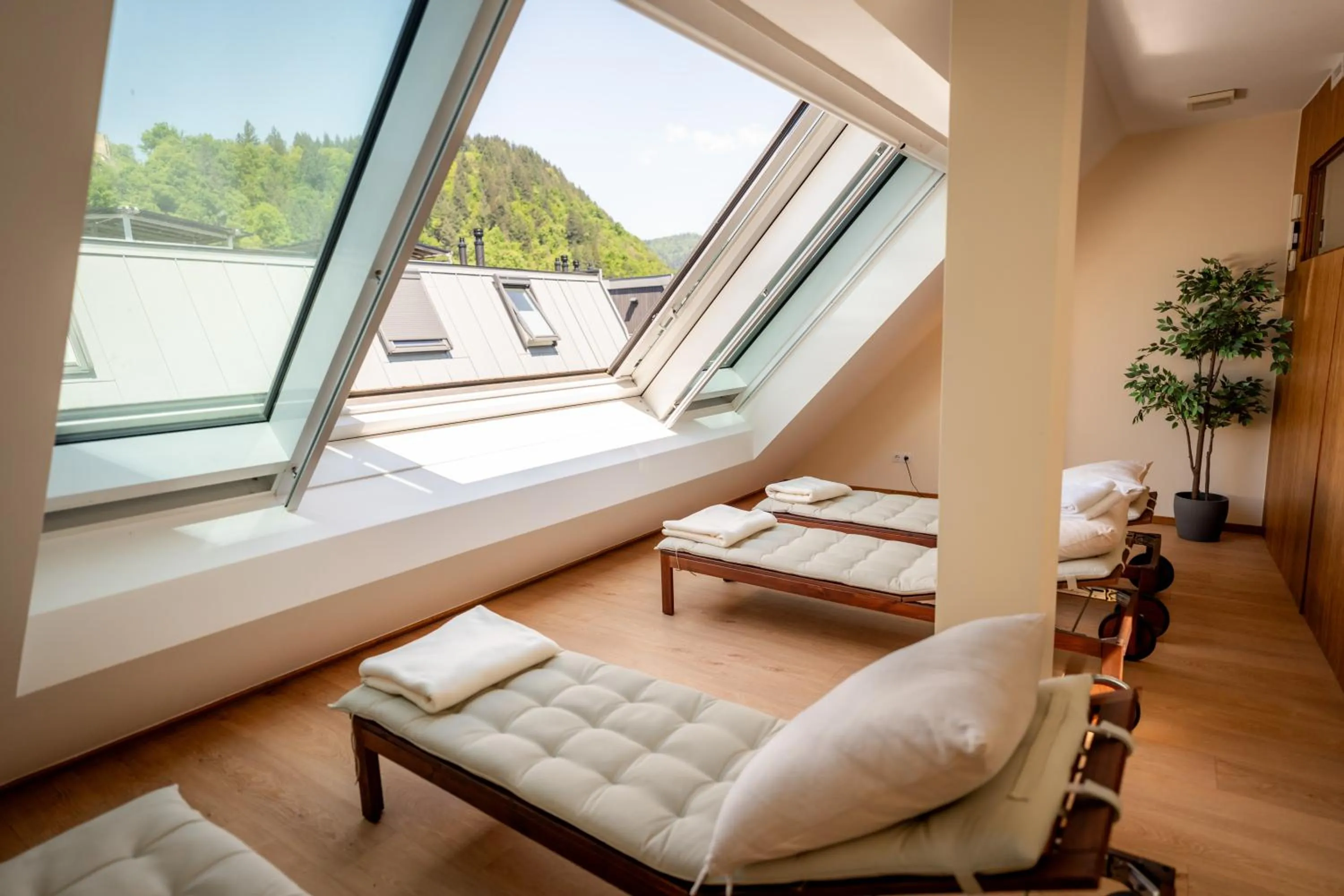 Sauna in Restaurant Hotel Zum Storchen