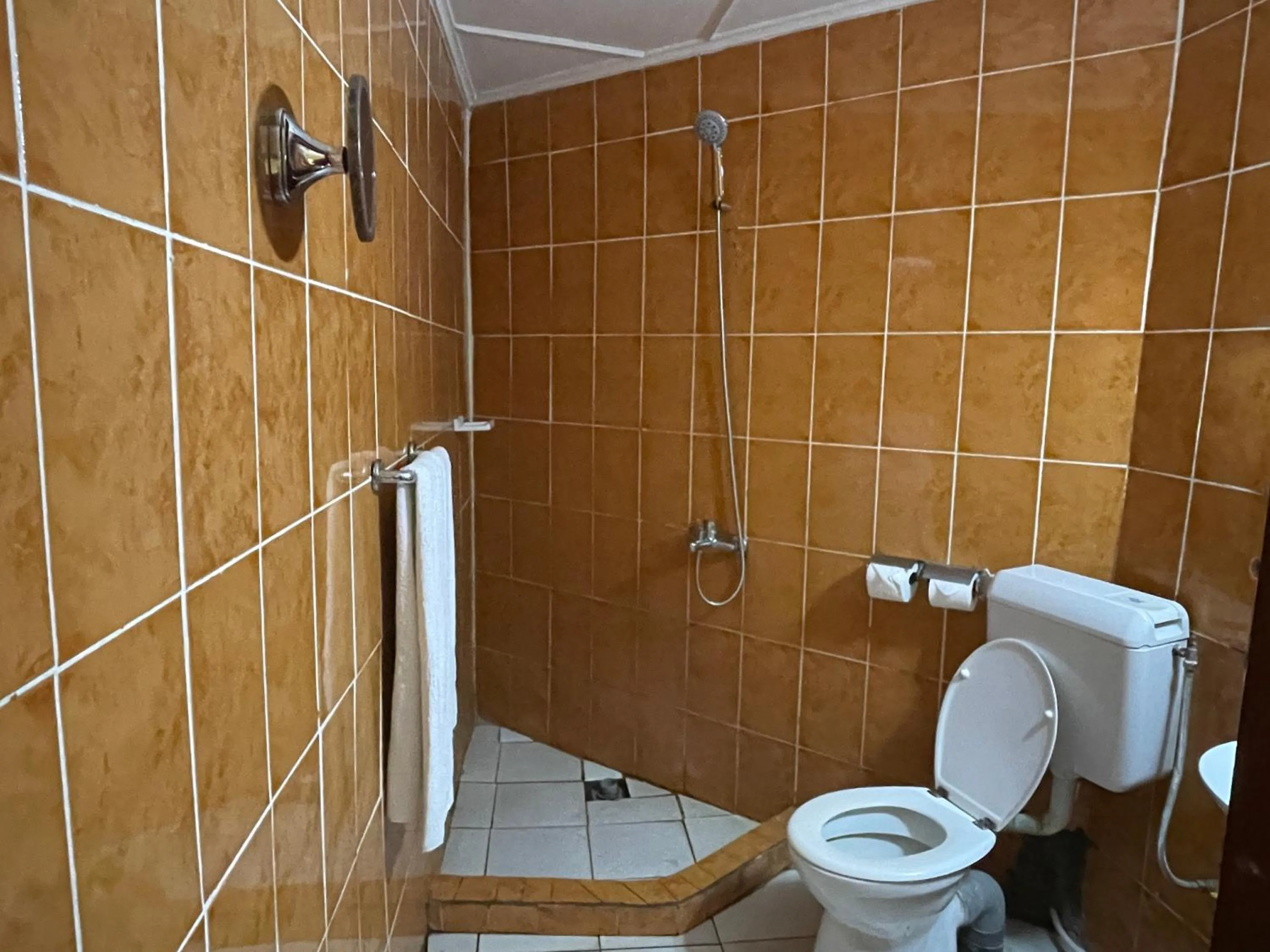 Bathroom in Hotel les Polygones Kribi