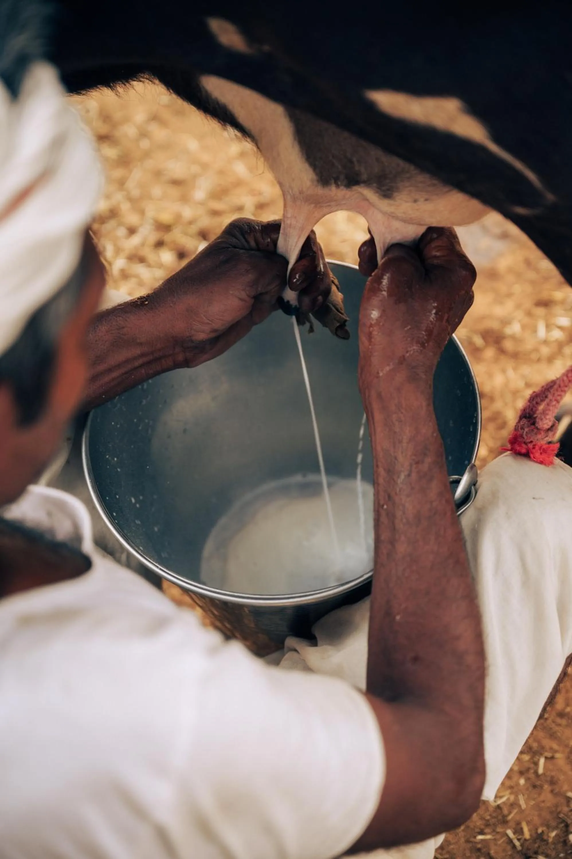 People in Anopura Jaipur