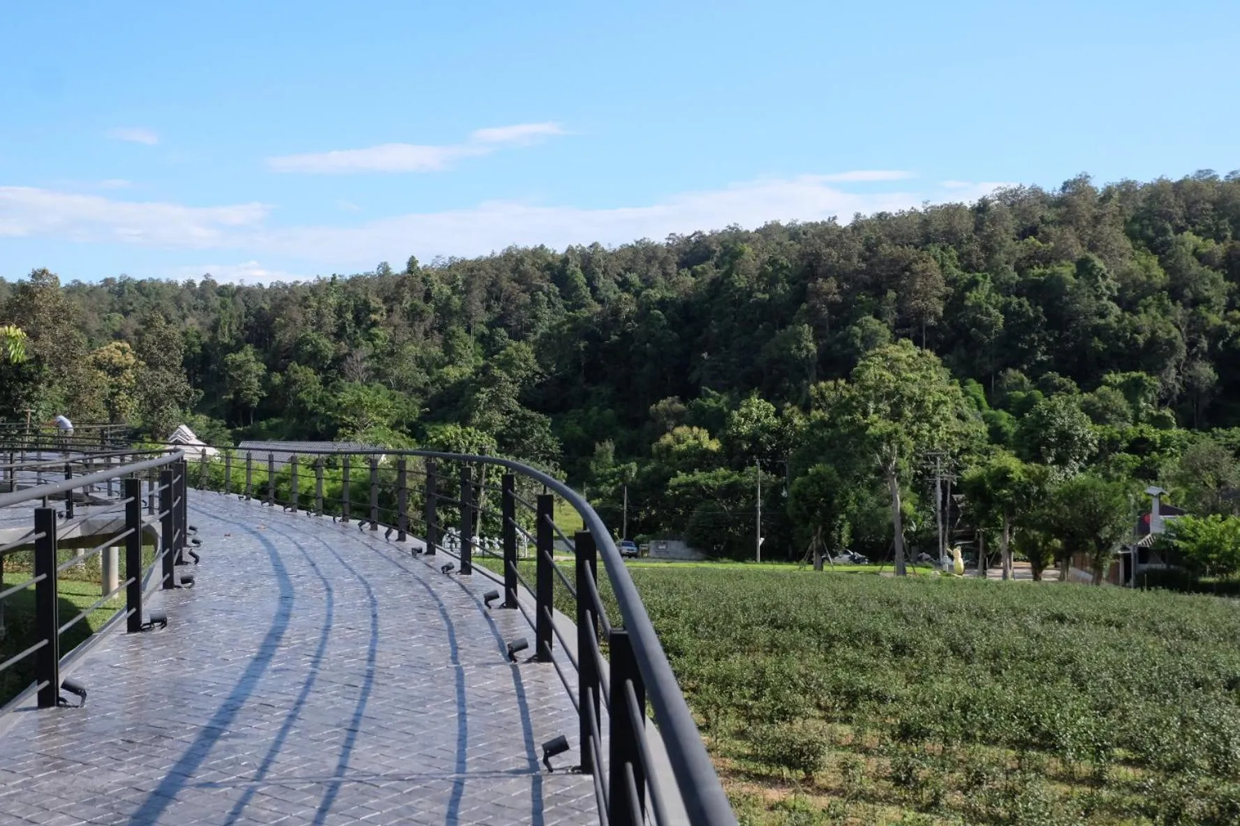 Property building in PASSA ผัสสะ Tea Plantation @Mae On