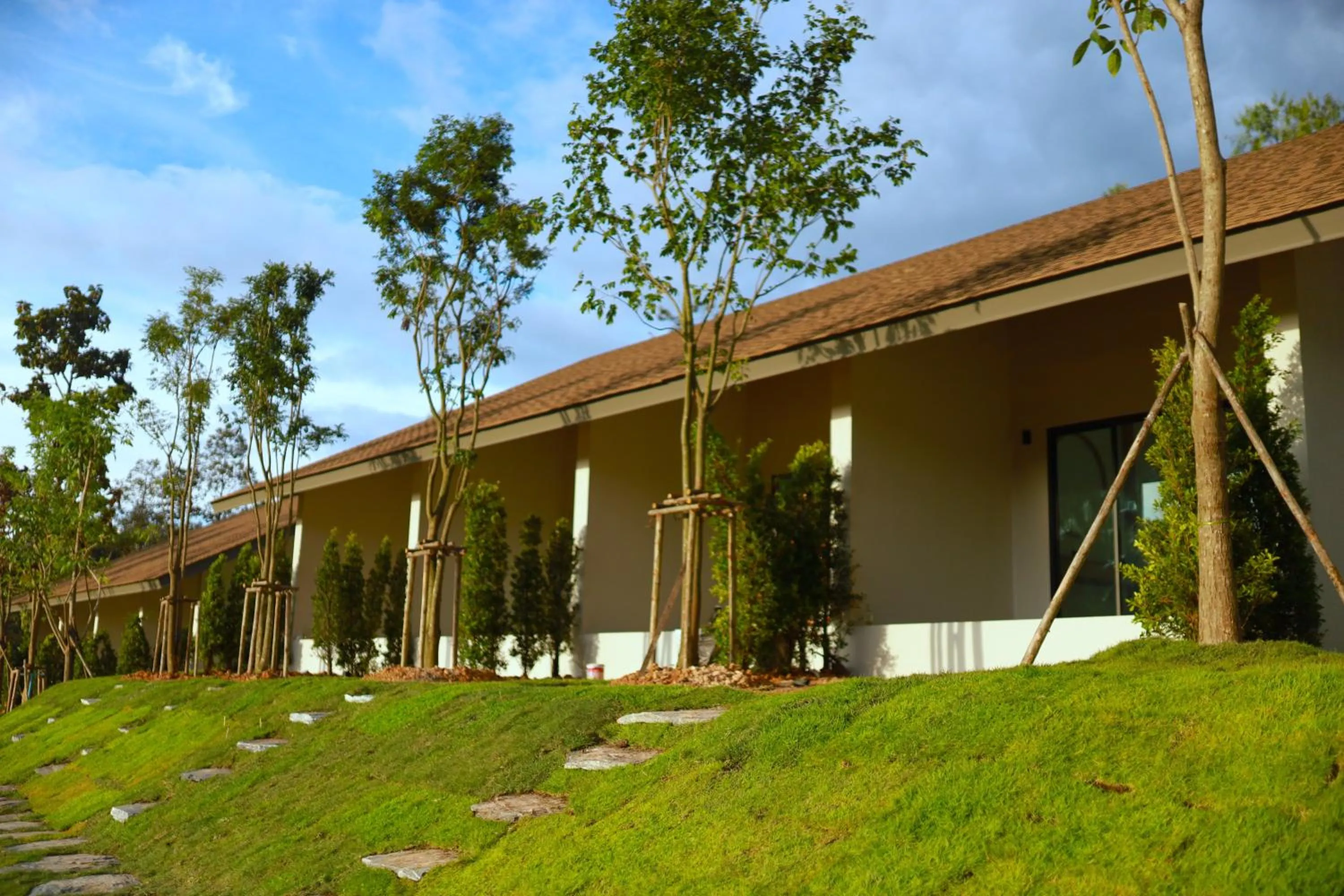 Garden in PASSA ผัสสะ Tea Plantation @Mae On