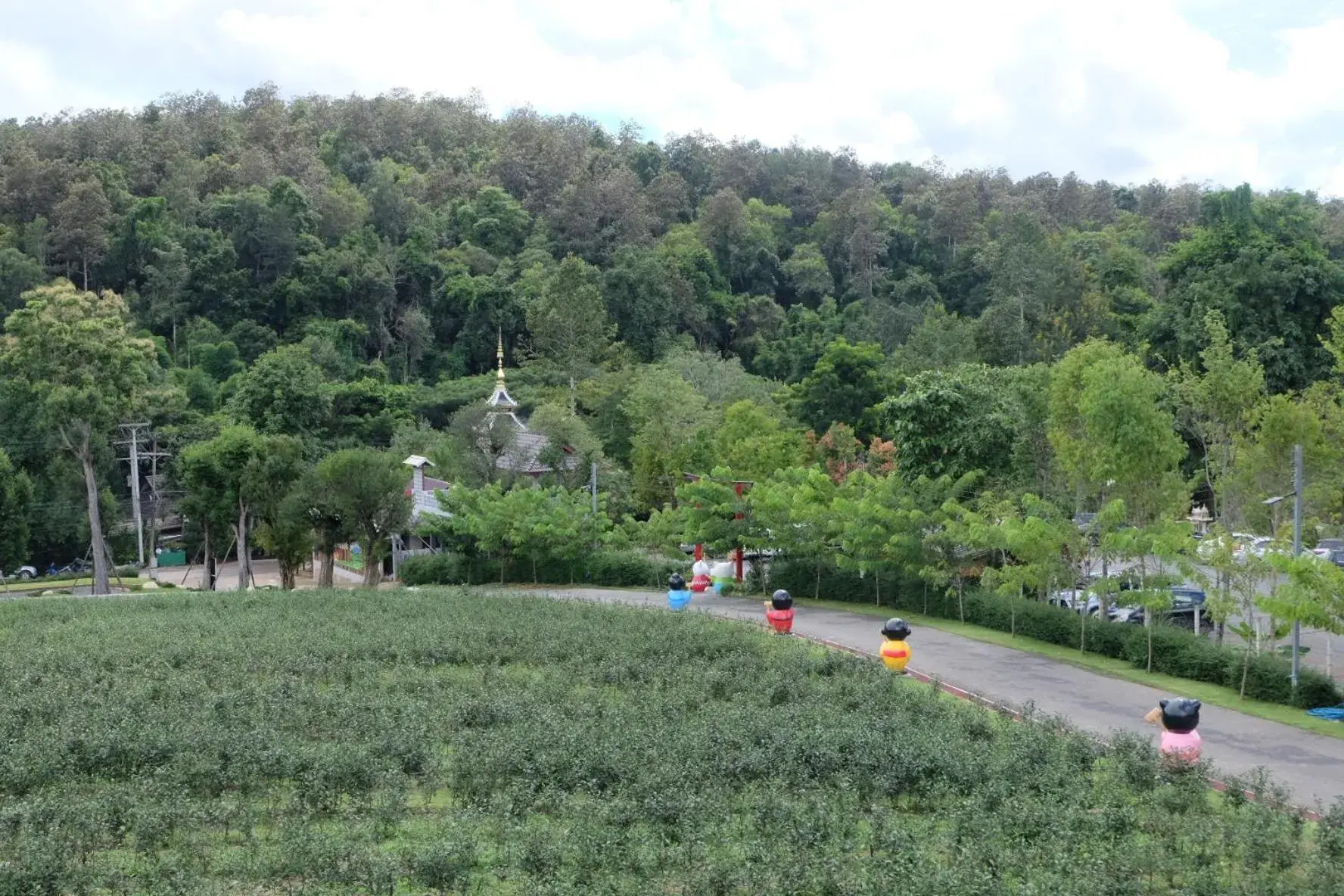 Villa with Private Pool in PASSA ผัสสะ Tea Plantation @Mae On Villa with Private Pool in PASSA ผัสสะ Tea Plantation @Mae On