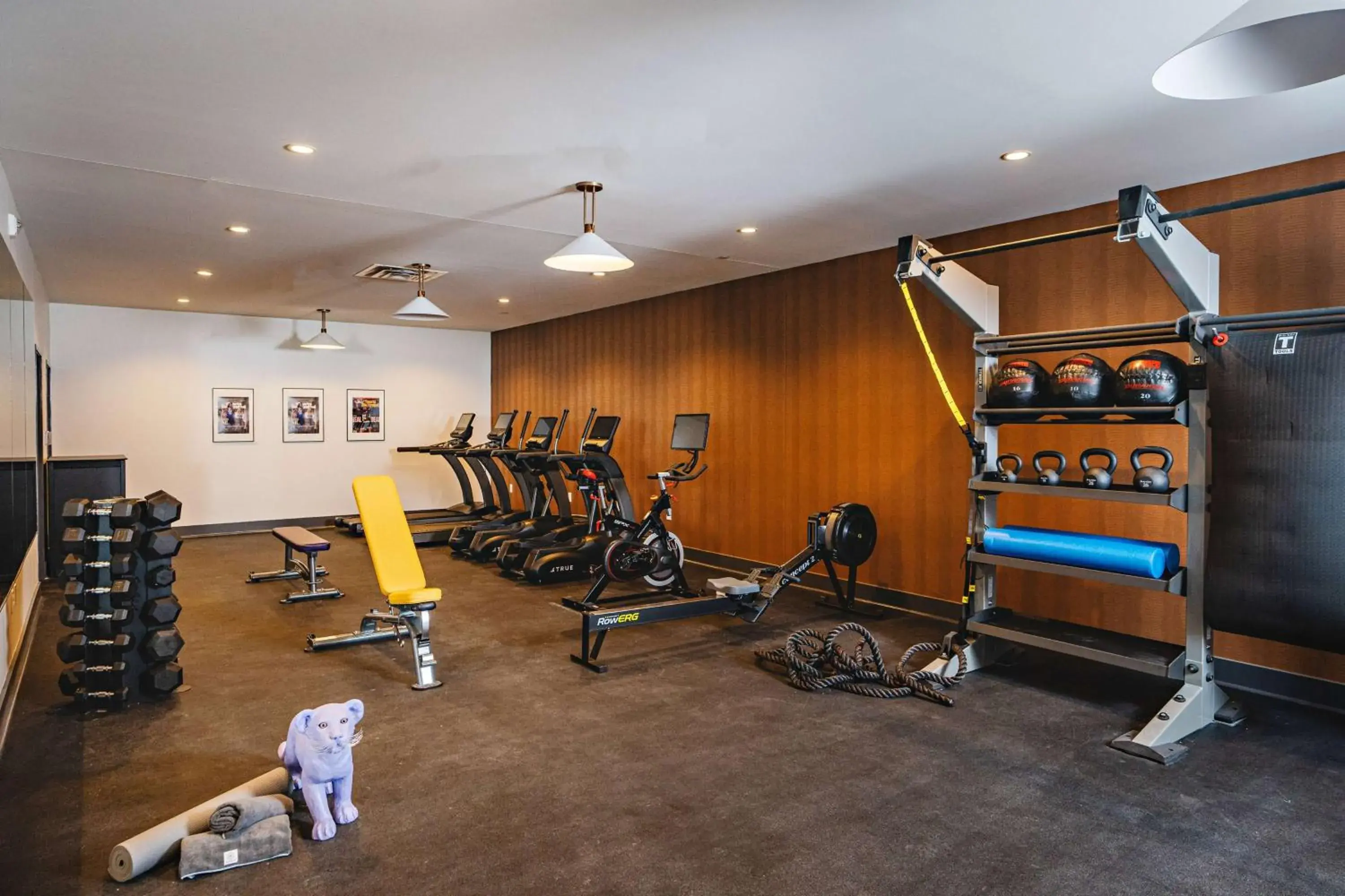 Fitness centre/facilities in Origin Baton Rouge, a Wyndham Hotel Fitness centre/facilities in Origin Baton Rouge, a Wyndham Hotel