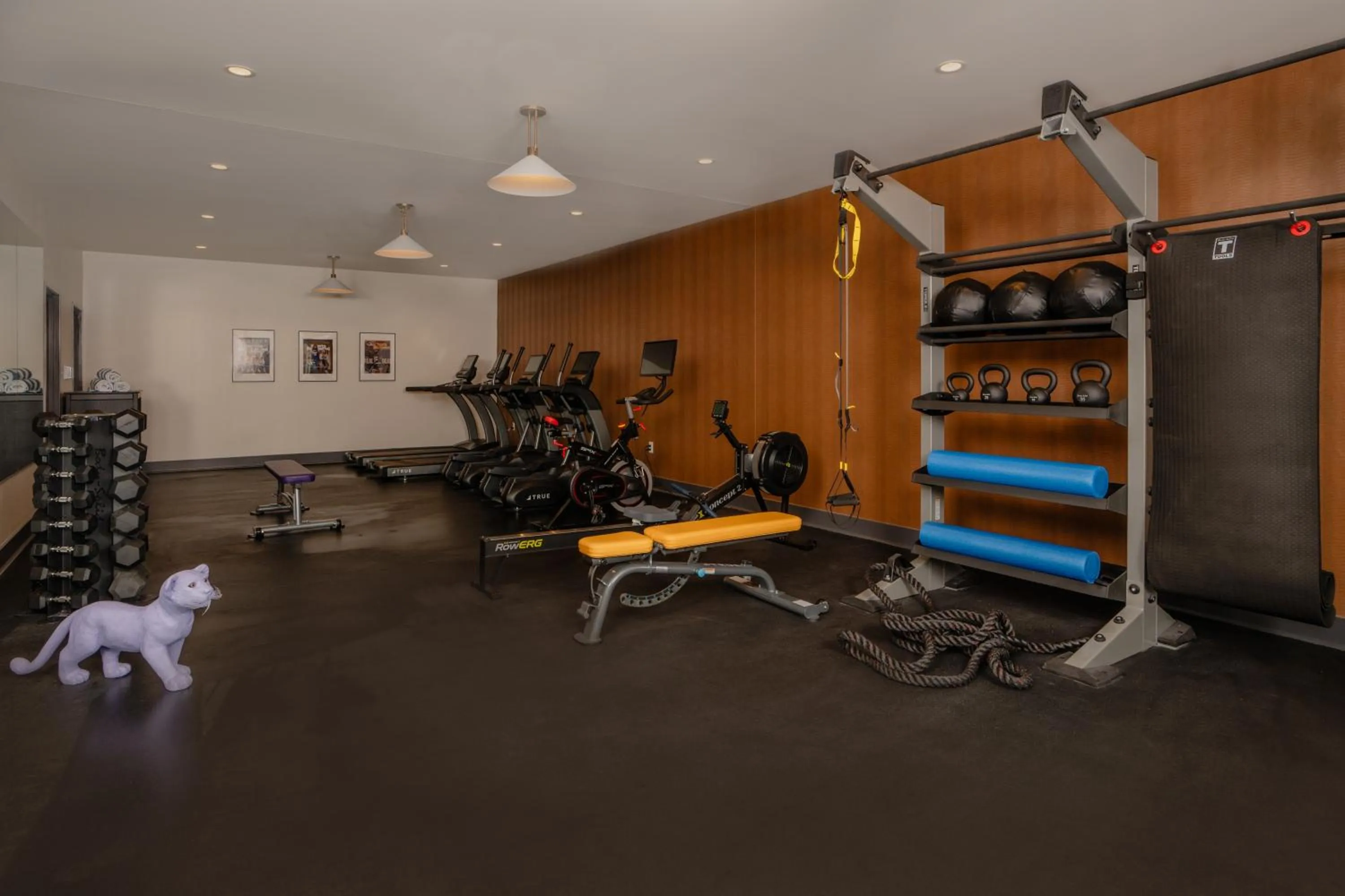 Fitness centre/facilities in Origin Baton Rouge, a Wyndham Hotel