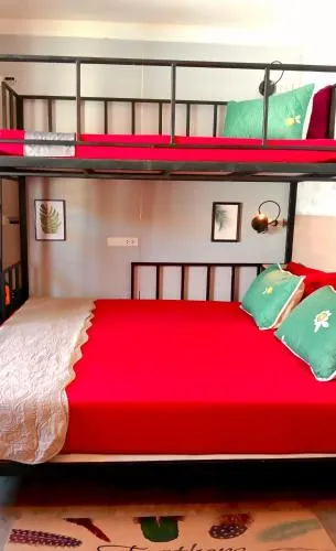 BM Loft On Nut & Massage