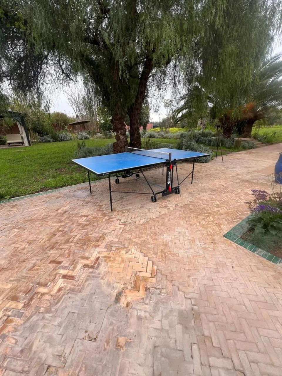 Table tennis in Nomadz Palace