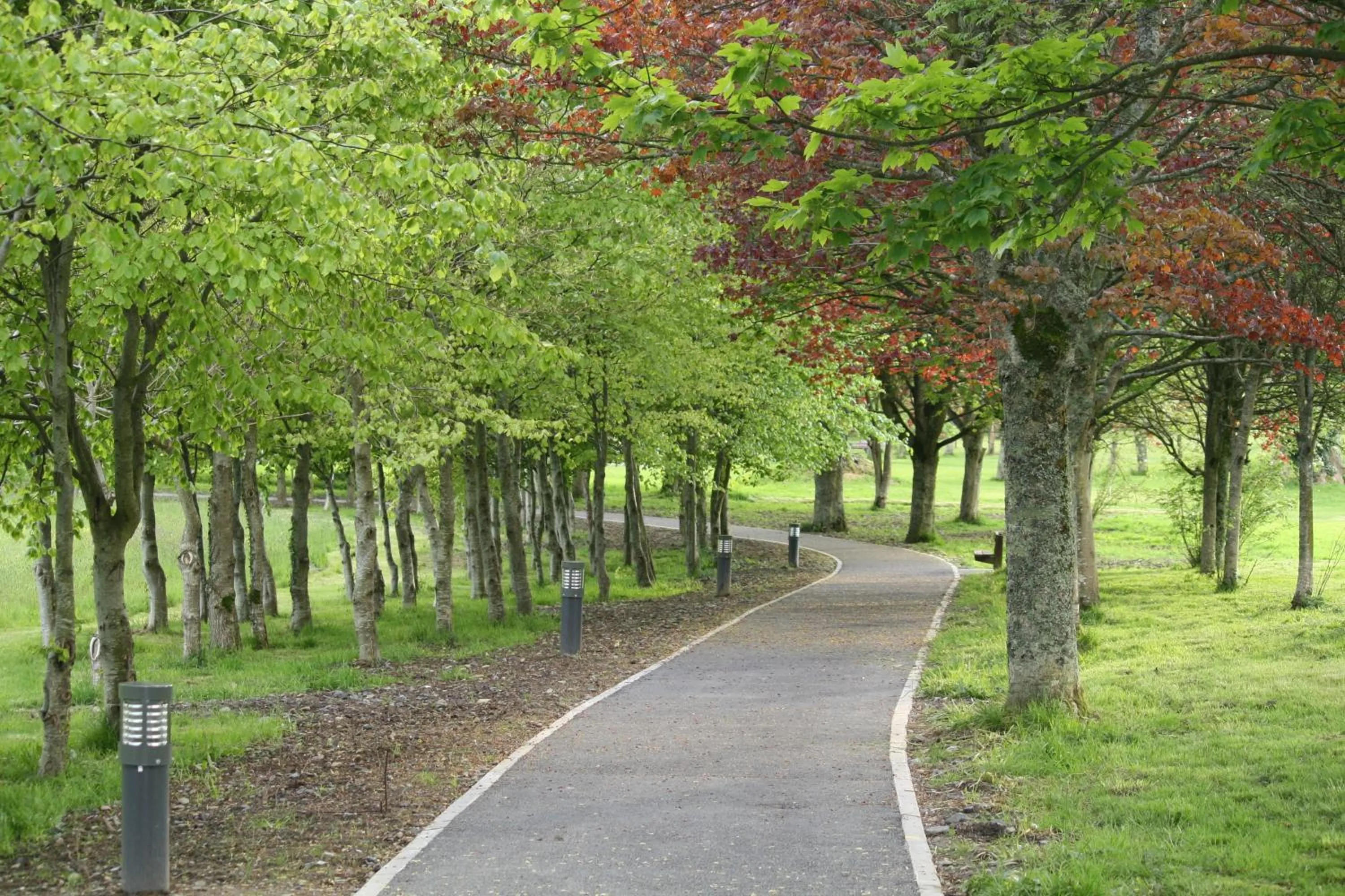 Off site in Palmgrove Bed & Breakfast