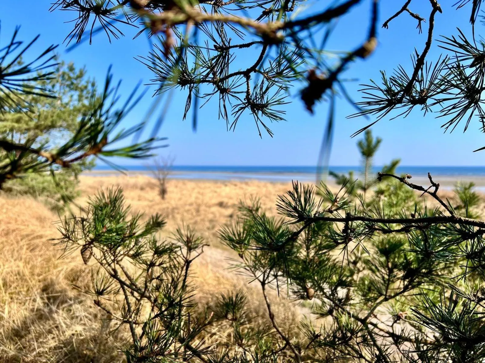 Natural landscape in Hafenkiek 55 exklusiv wohnen am Yachthafen