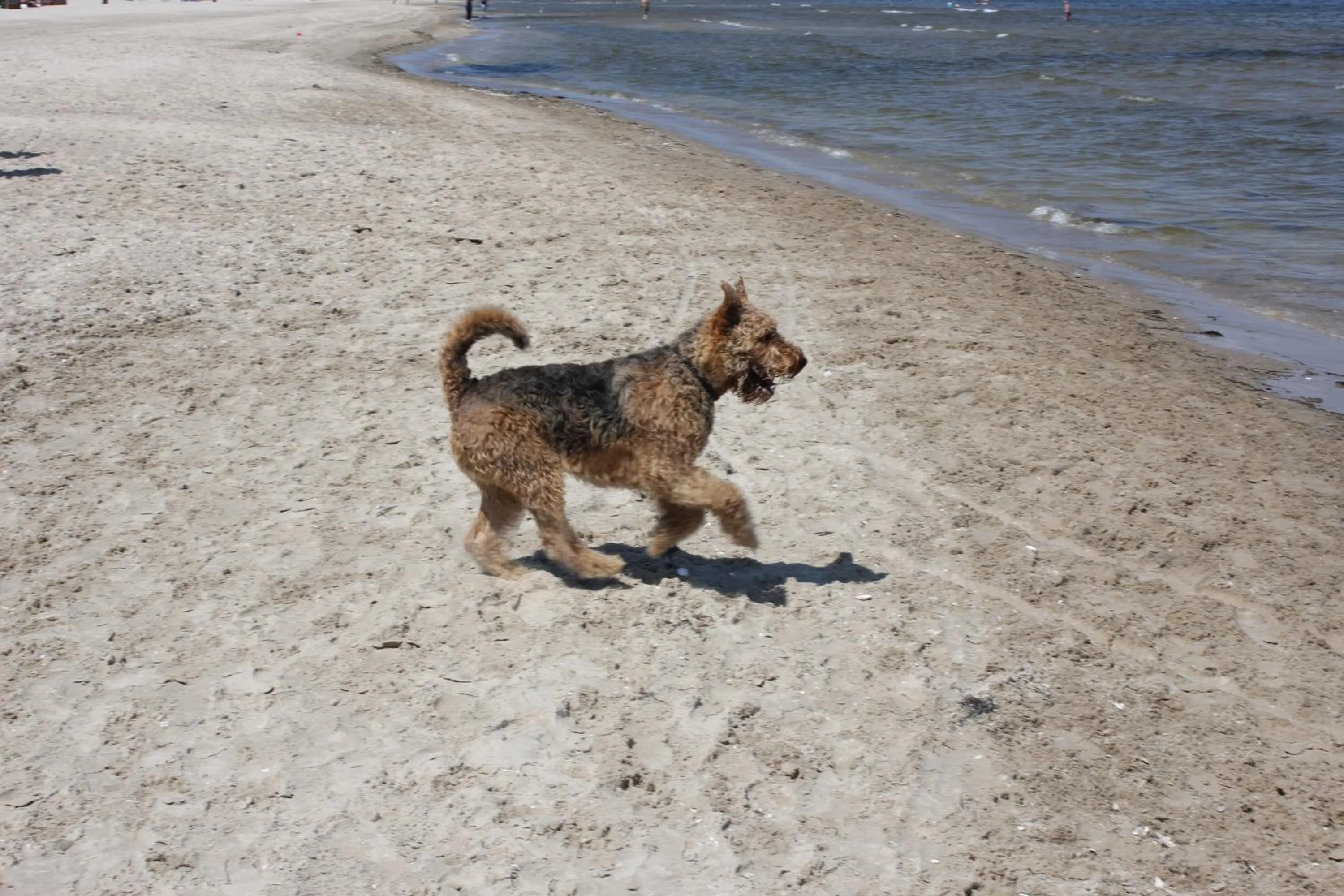 Beach in Hafenkiek 55 exklusiv wohnen am Yachthafen